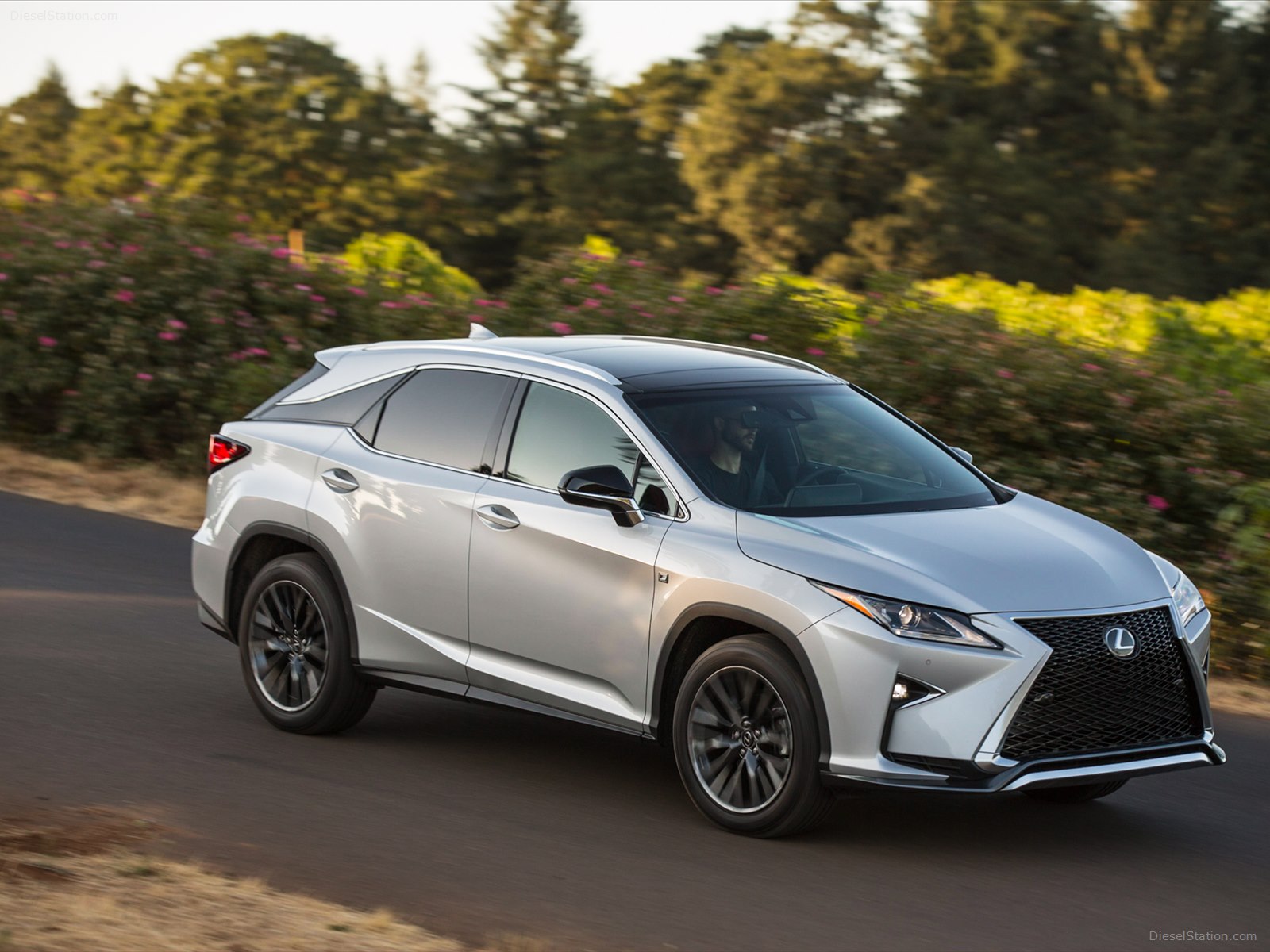 Lexus RX 350 F Sport 2016