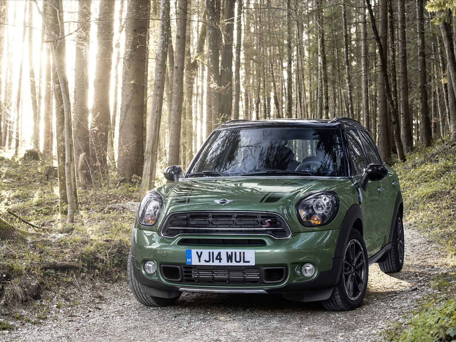 Mini Countryman 2015