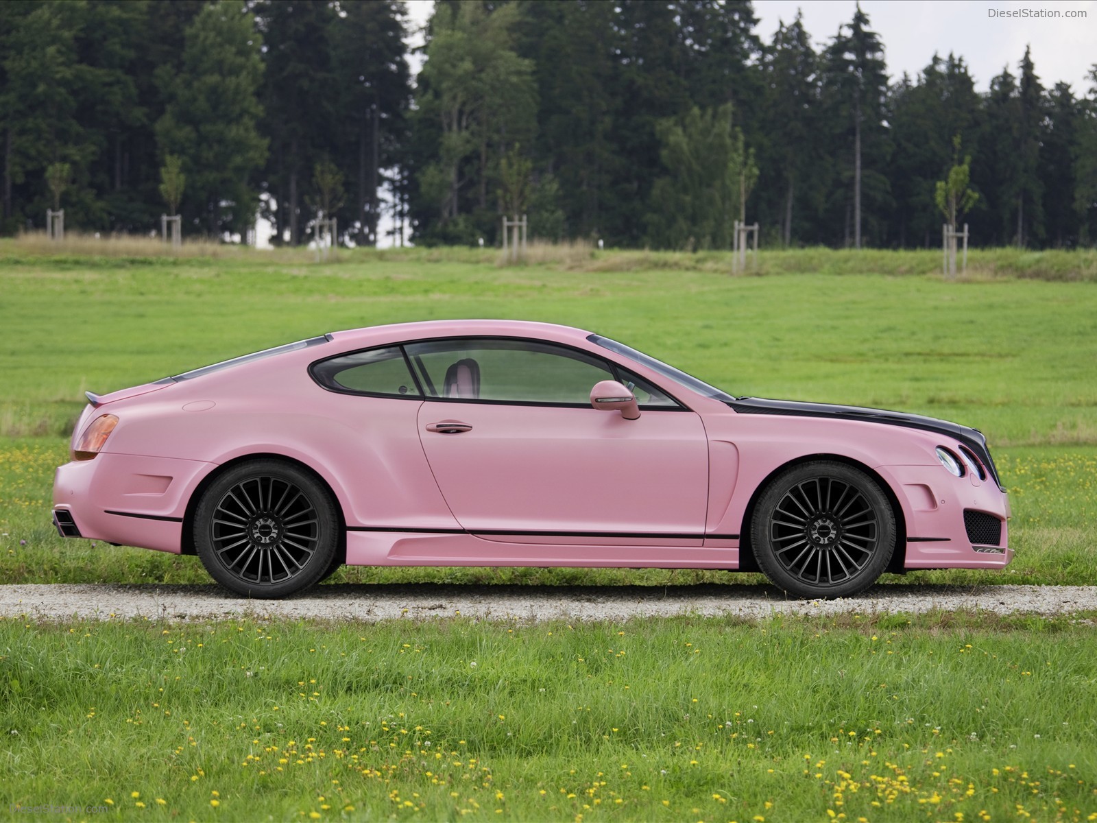 2009 Mansory Vitesse Rose