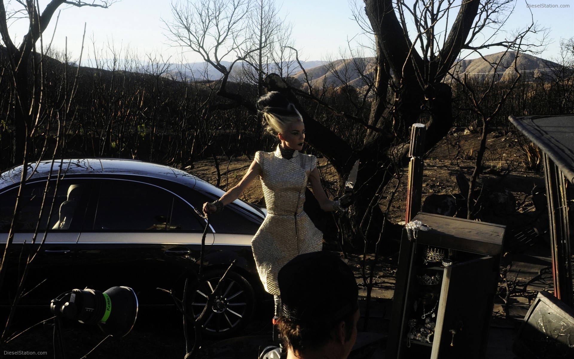 Maybach as Portrayed by Artist David LaChapelle Maybach as Portrayed by Artist David LaChapelle