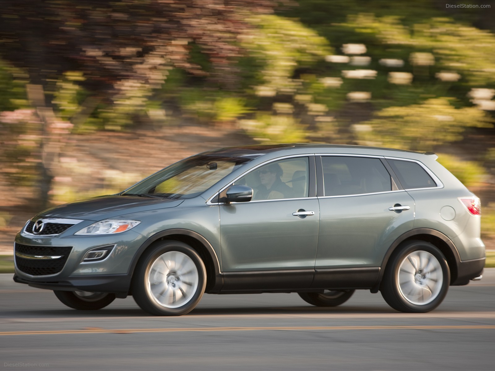 2010 Mazda CX-9