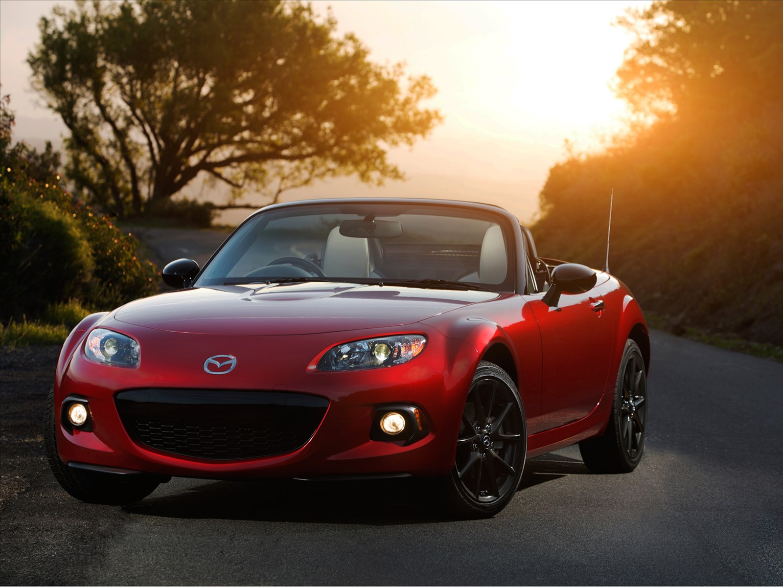 Mazda MX-5 Roadster 25th Anniversary Limited Edition 2014