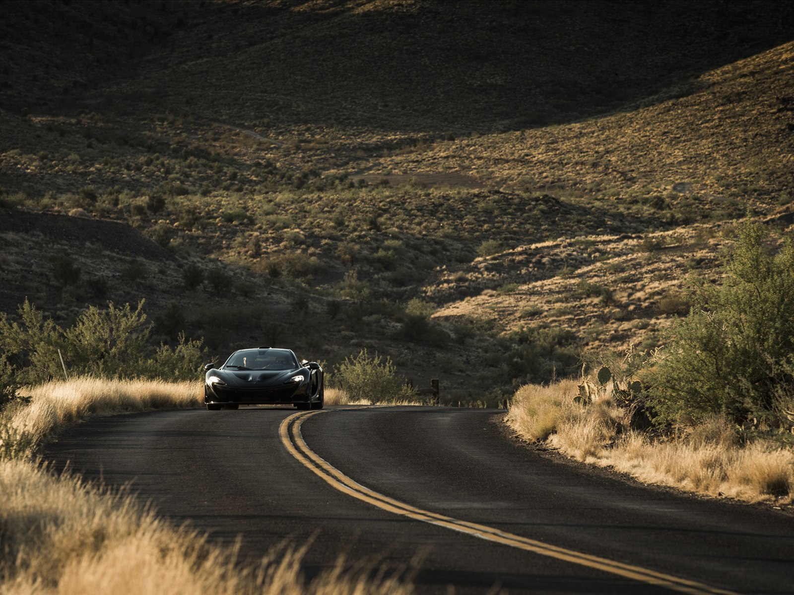 McLaren P1 2014