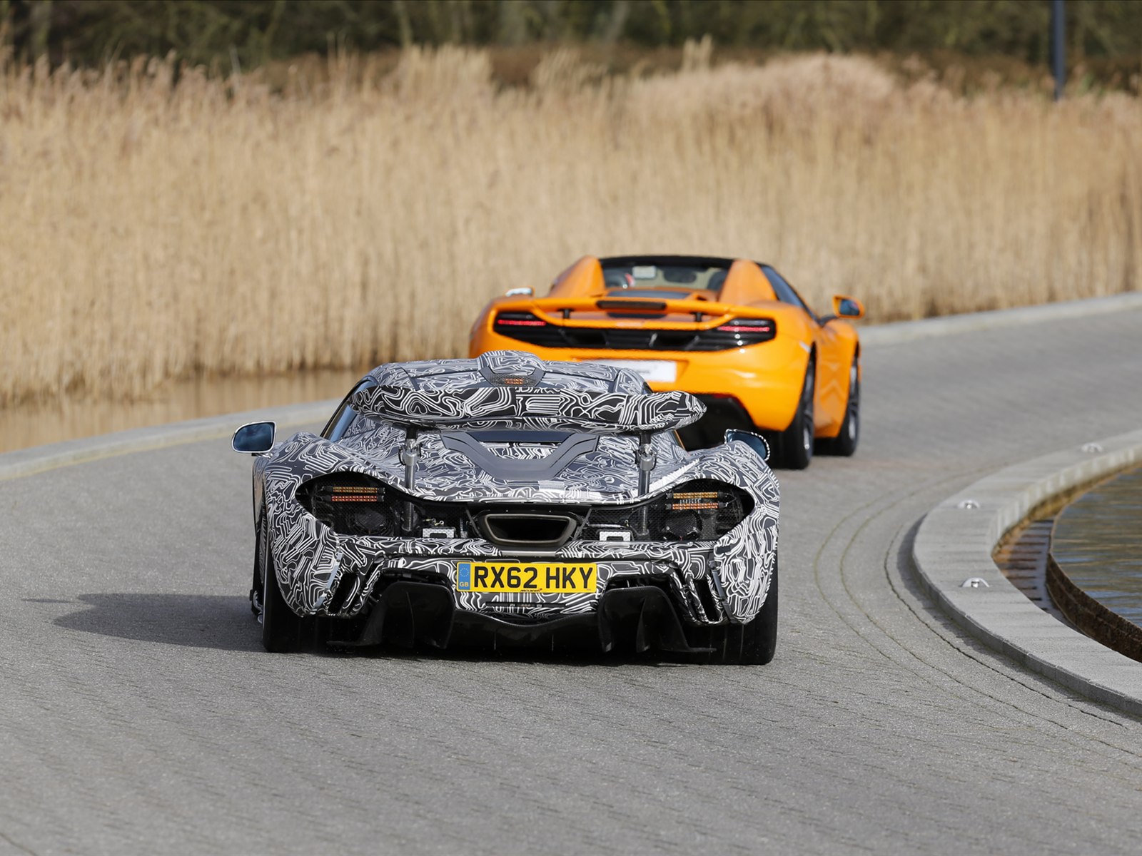 McLaren P1 2014