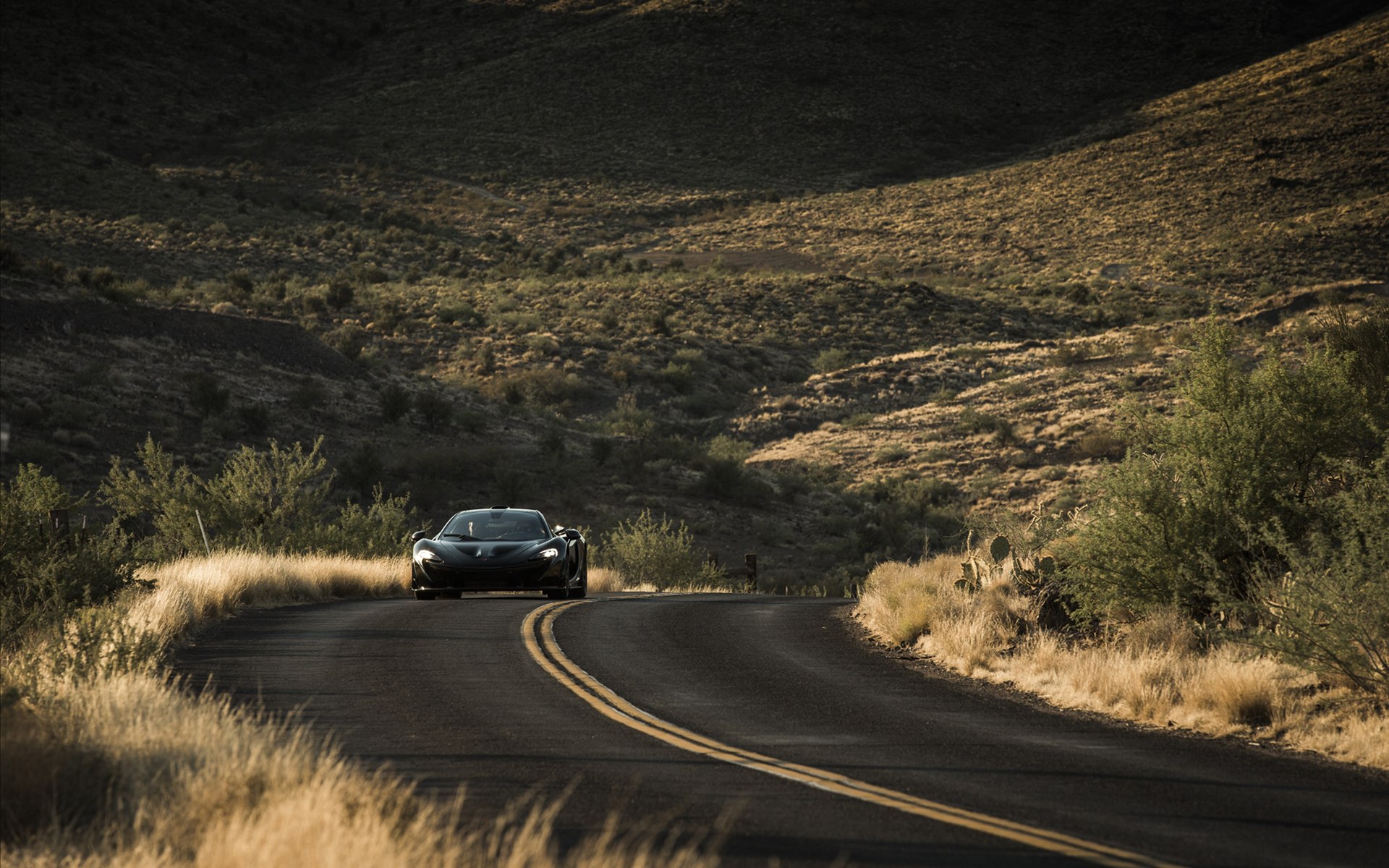 McLaren P1 2014