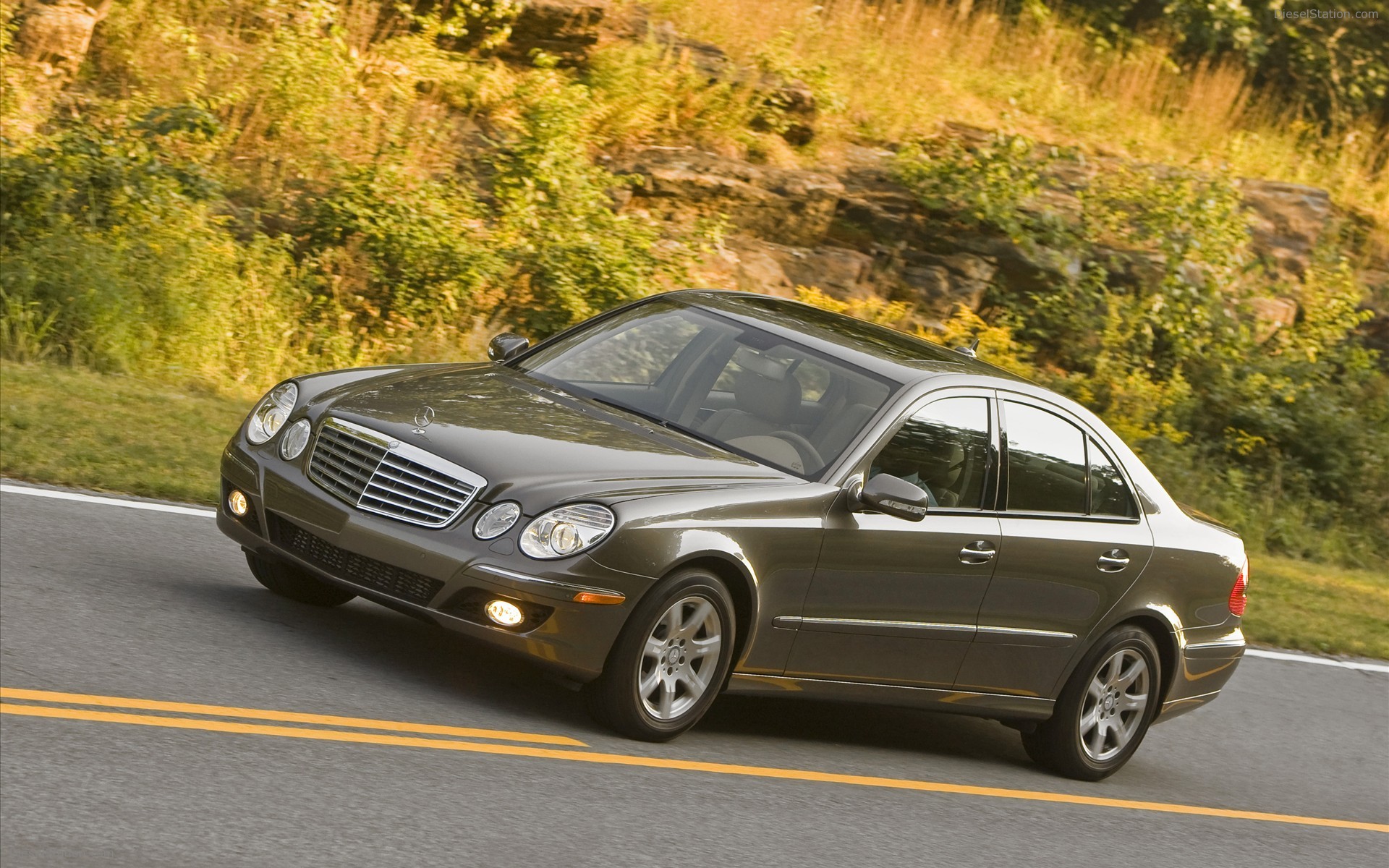 2009 Mercedes Benz E320 Bluetec