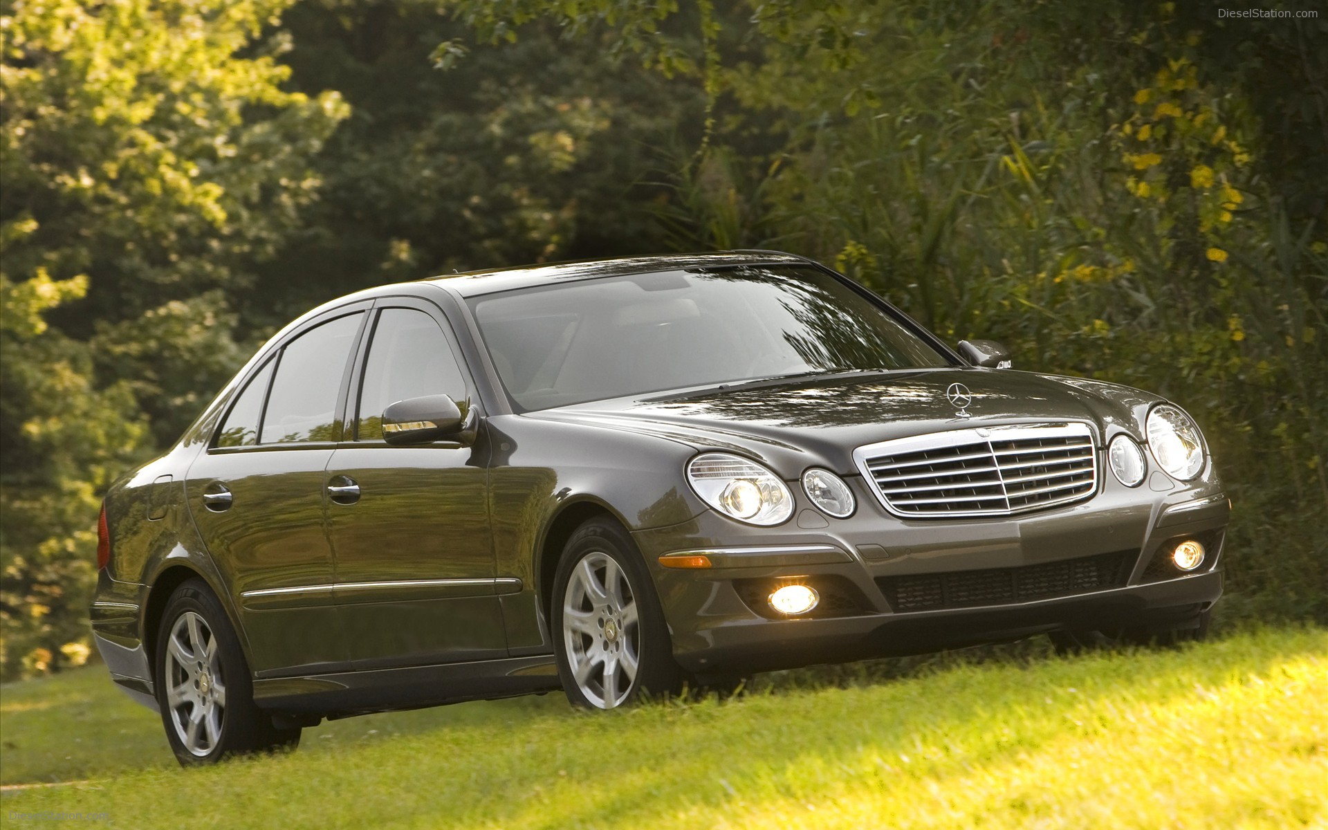 2009 Mercedes Benz E320 Bluetec