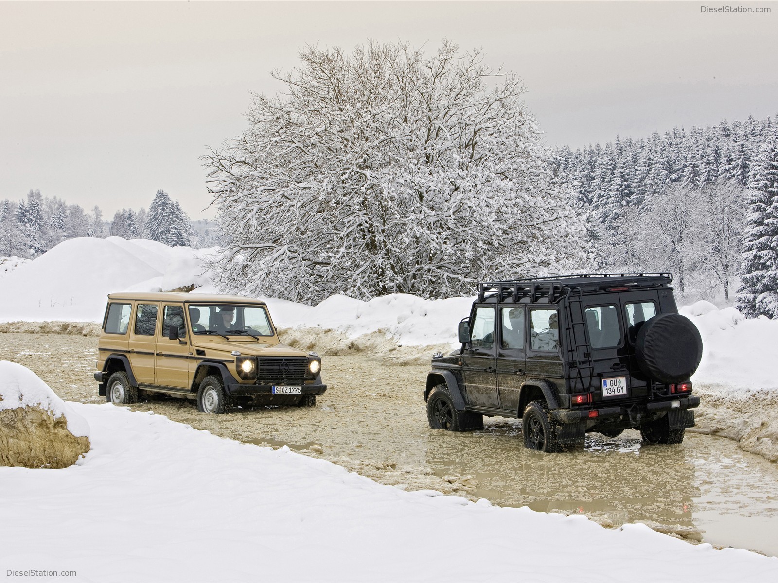 2009 Mercedes Benz G Class Edition30