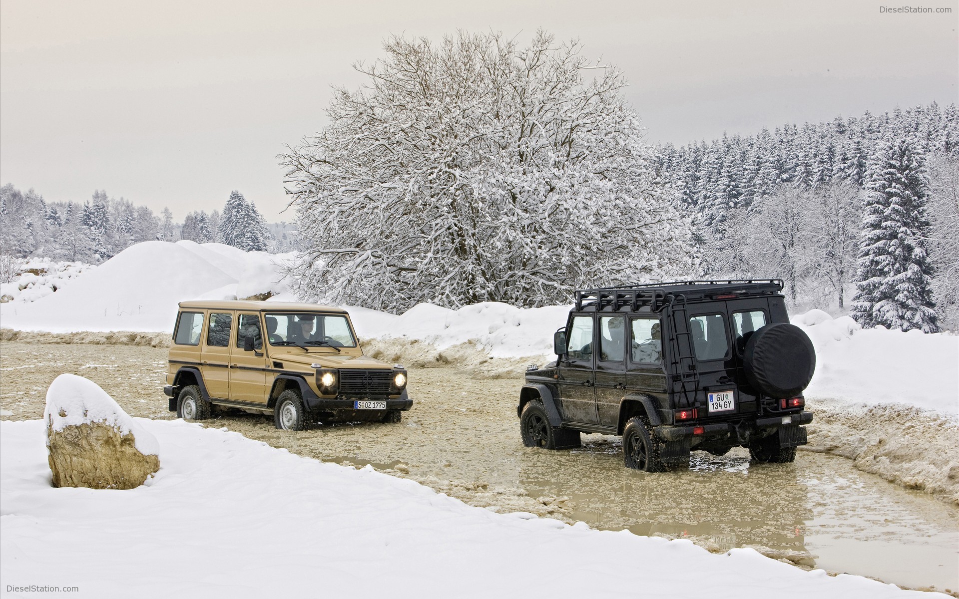 2009 Mercedes Benz G Class Edition30