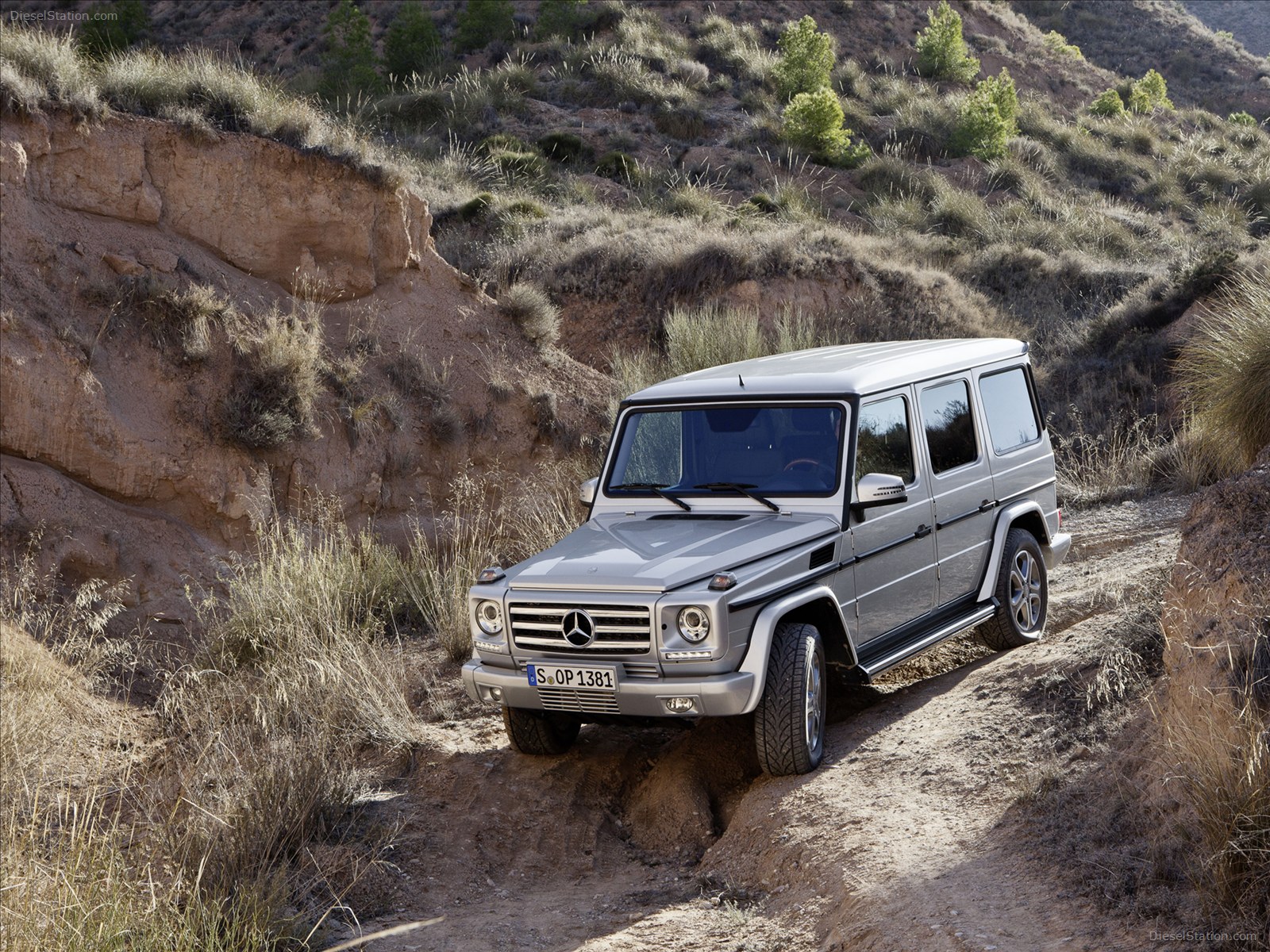 Mercedes Benz G Class 2013