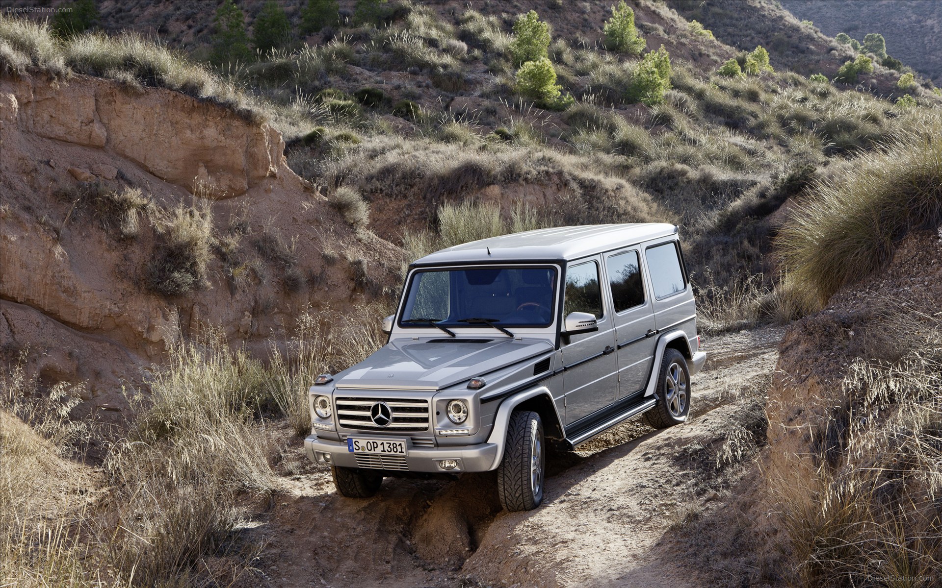Mercedes Benz G Class 2013