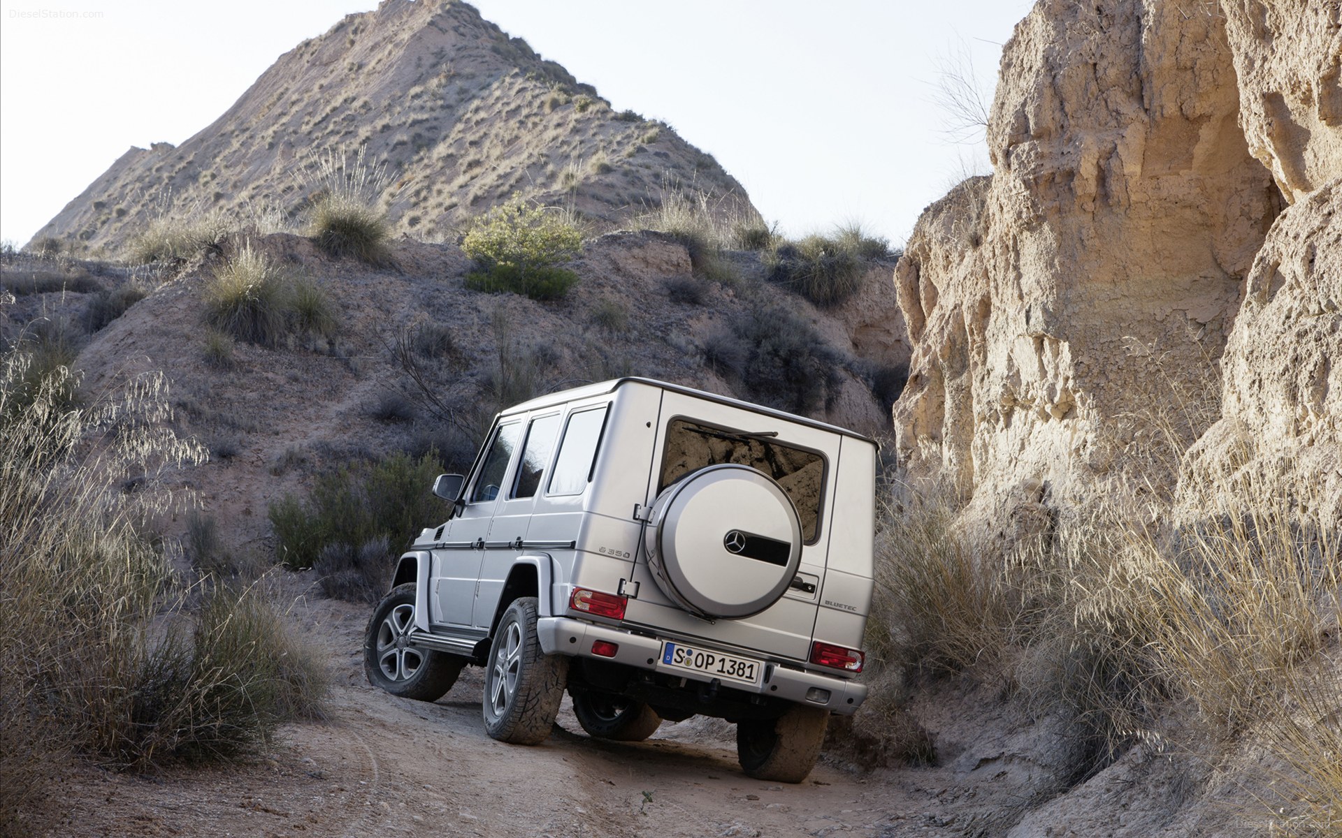 Mercedes Benz G Class 2013