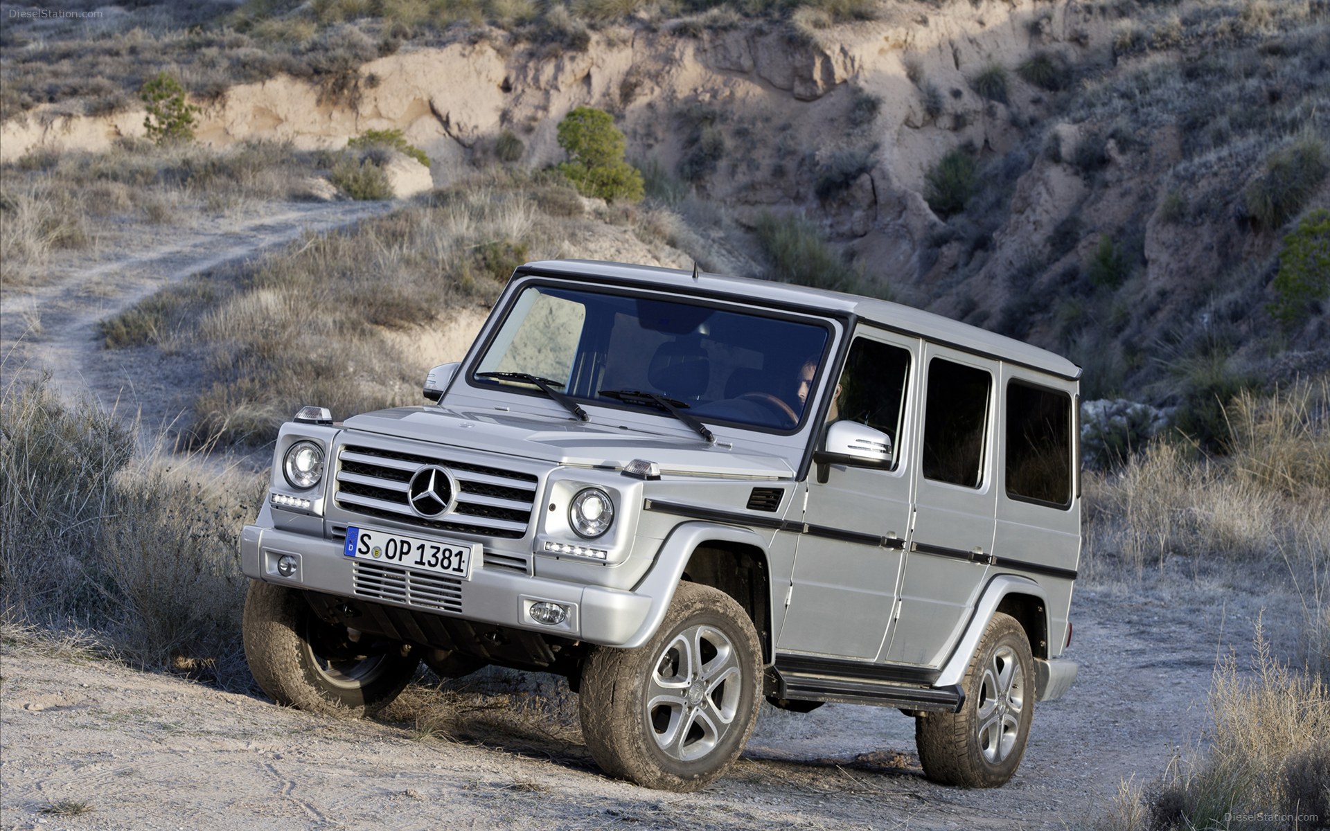 Mercedes Benz G Class 2013
