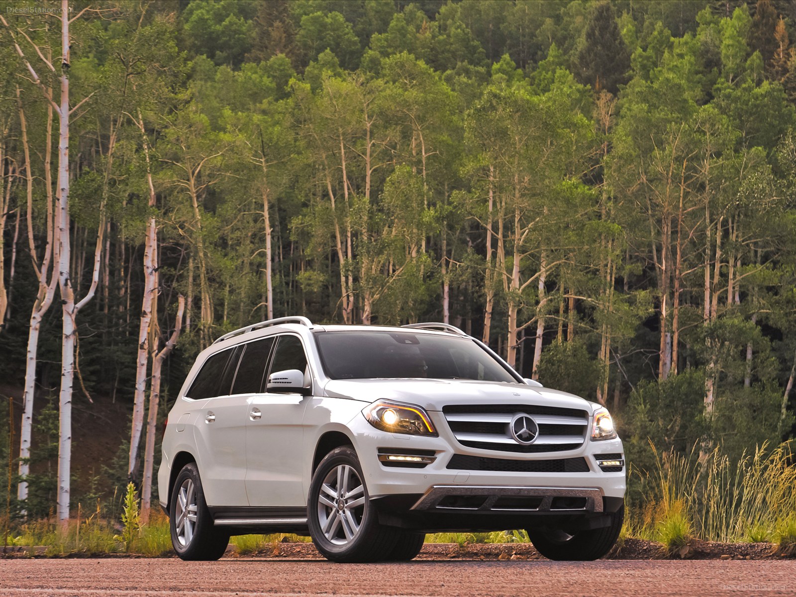 Mercedes Benz GL350 2013