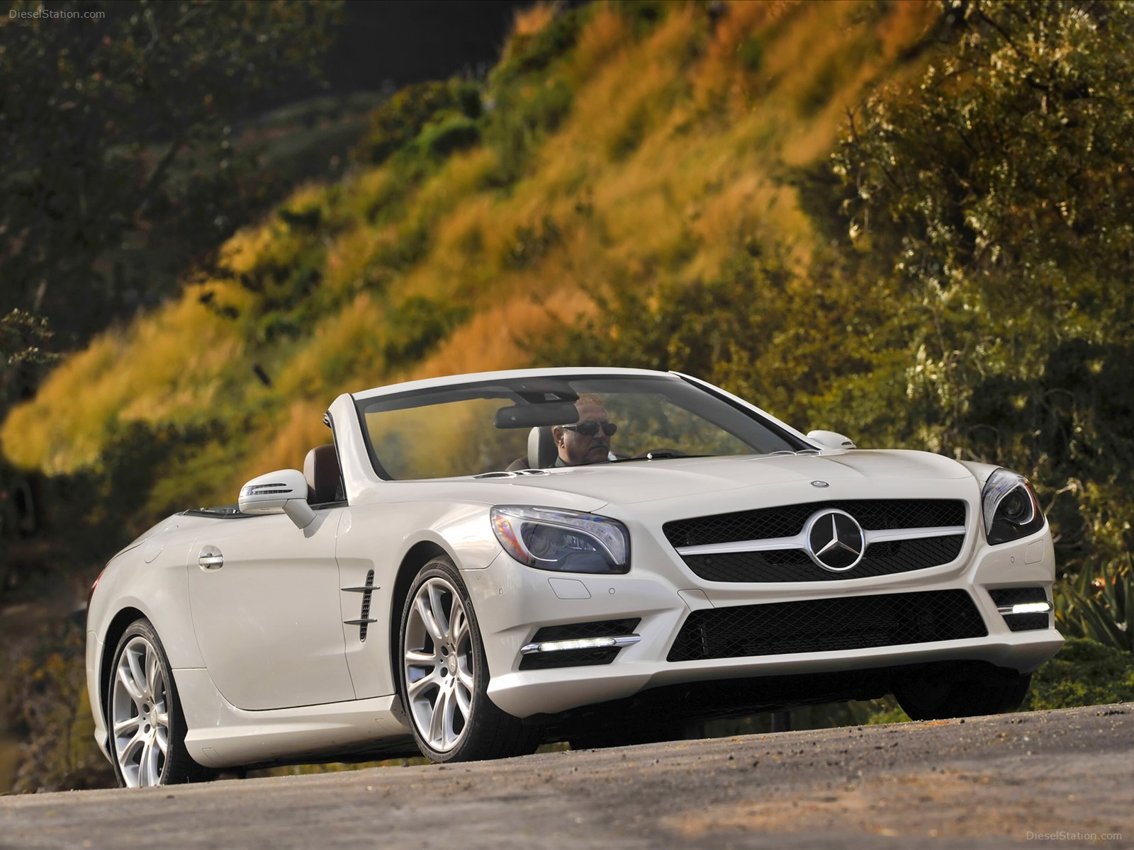Mercedes Benz SL550 2013
