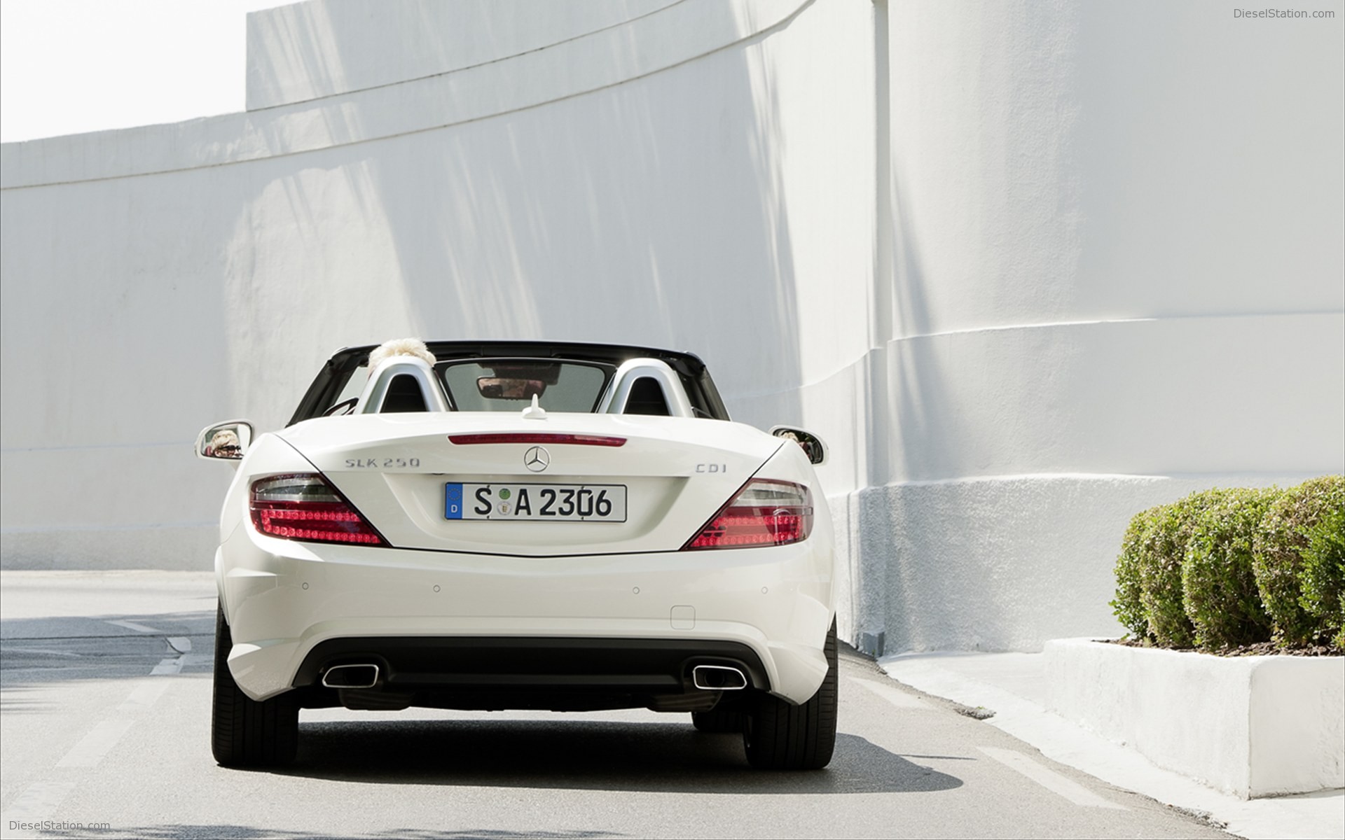 Mercedes-Benz SLK250 CDI 2012