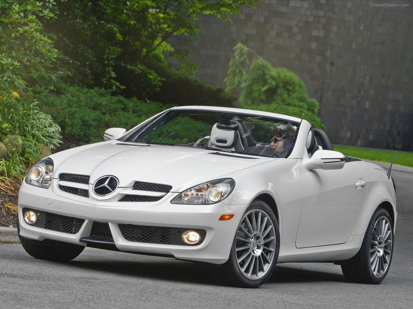 Mercedes Benz SLK300 Diamond White Edition 2010 Mercedes Benz SLK300 Diamond White Edition 2010