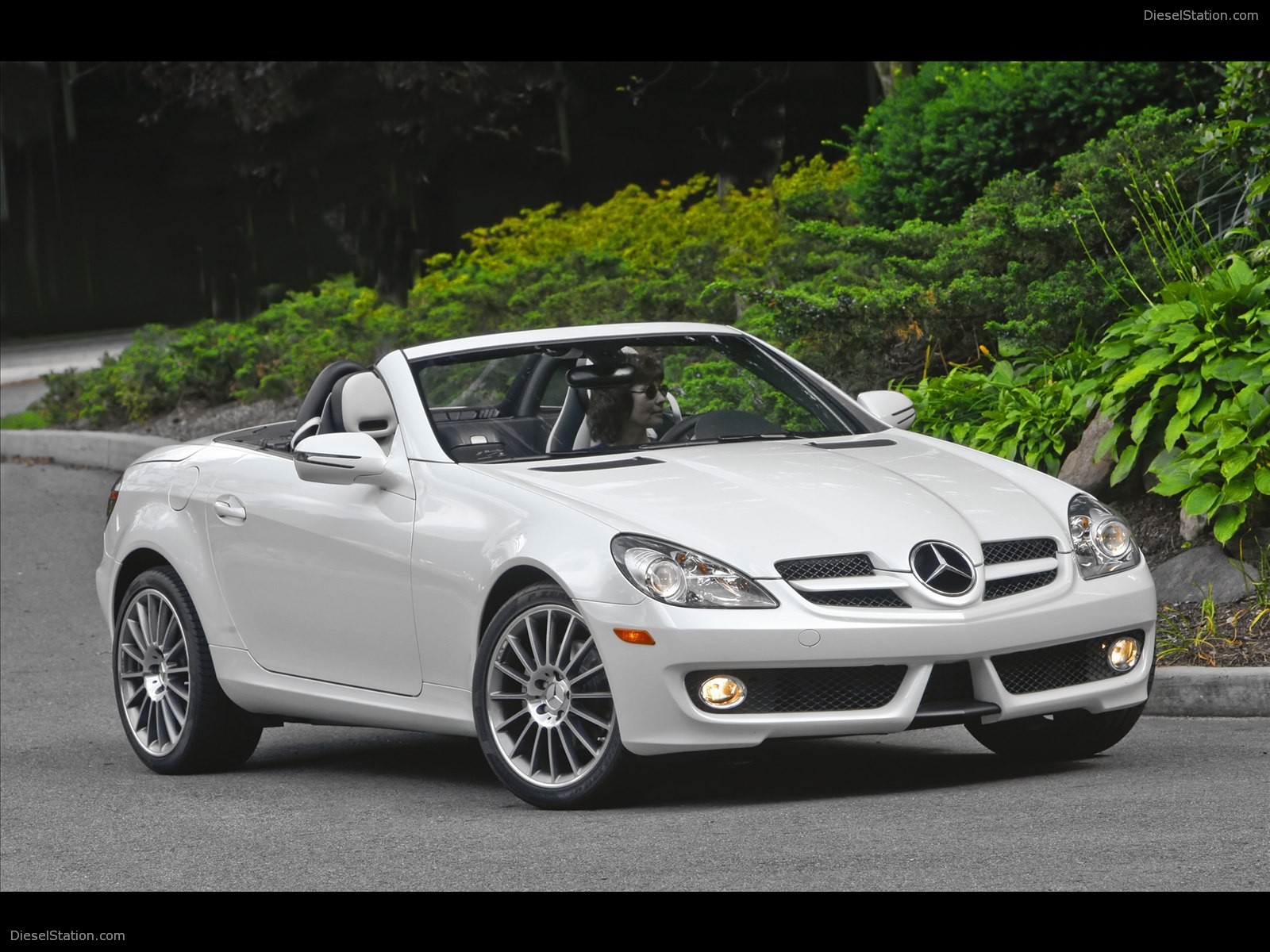 Mercedes Benz SLK300 Diamond White Edition 2010 Mercedes Benz SLK300 Diamond White Edition 2010