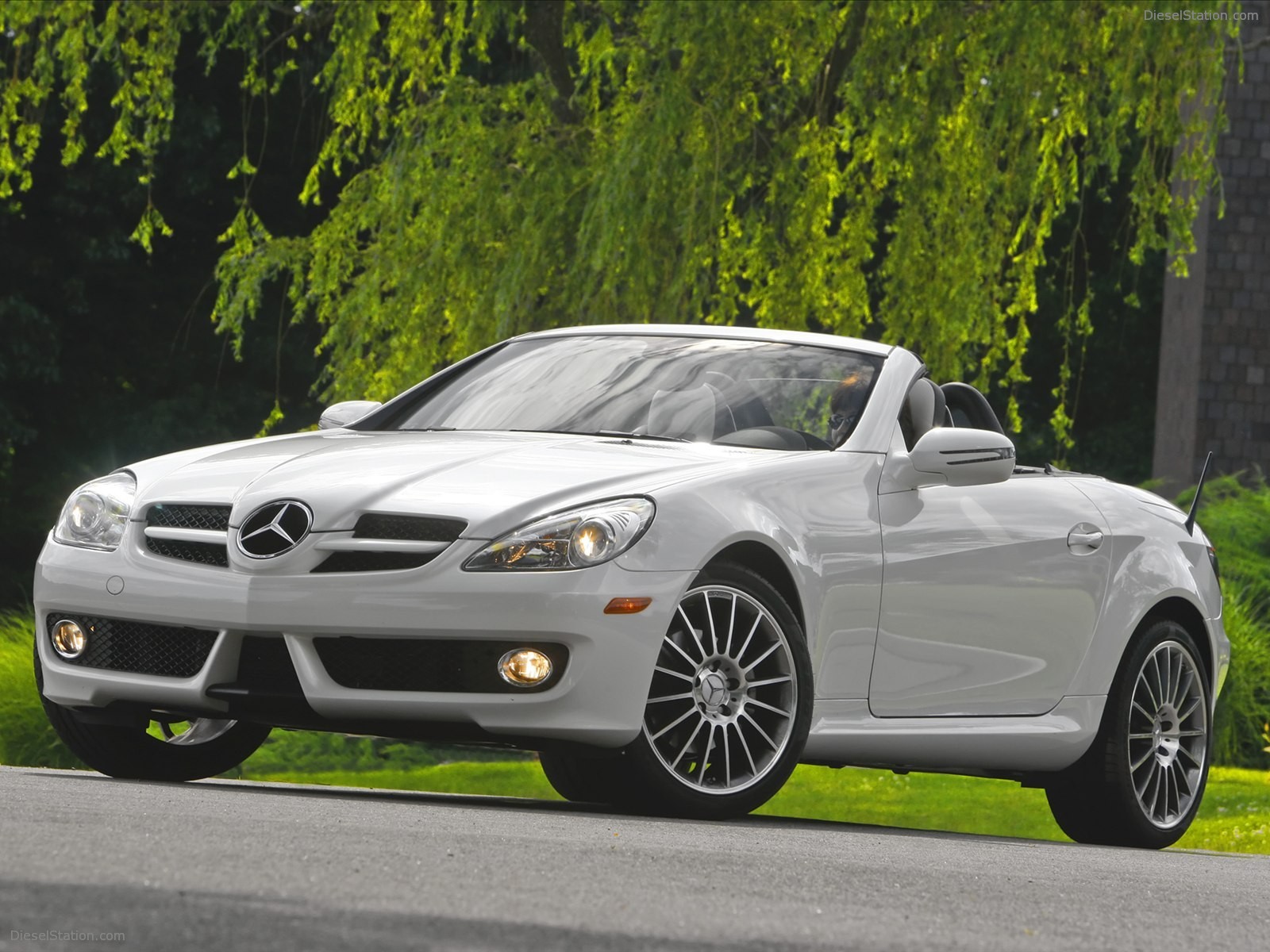 Mercedes Benz SLK300 Diamond White Edition 2010 Mercedes Benz SLK300 Diamond White Edition 2010