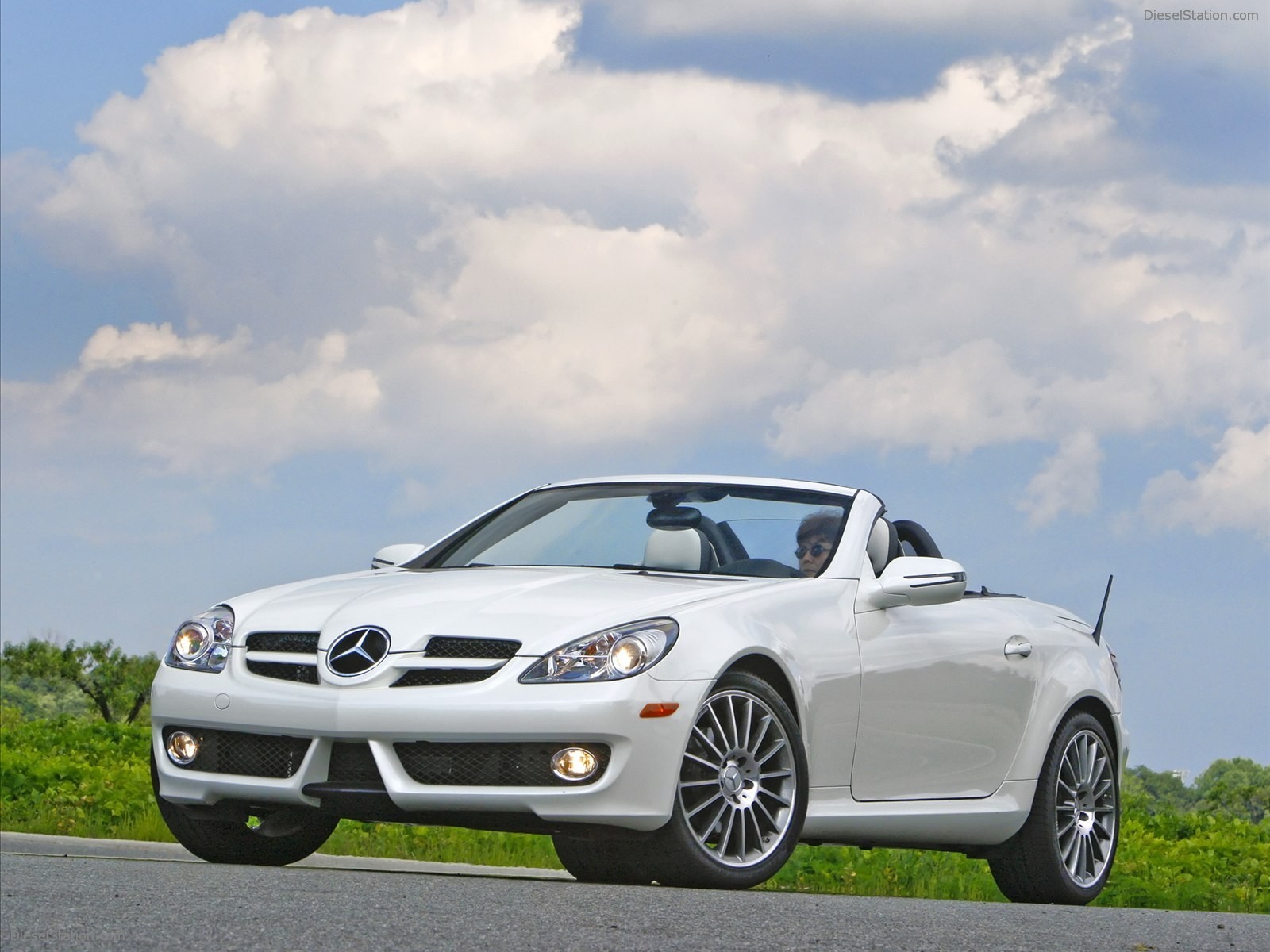 Mercedes Benz SLK300 Diamond White Edition 2010 Mercedes Benz SLK300 Diamond White Edition 2010