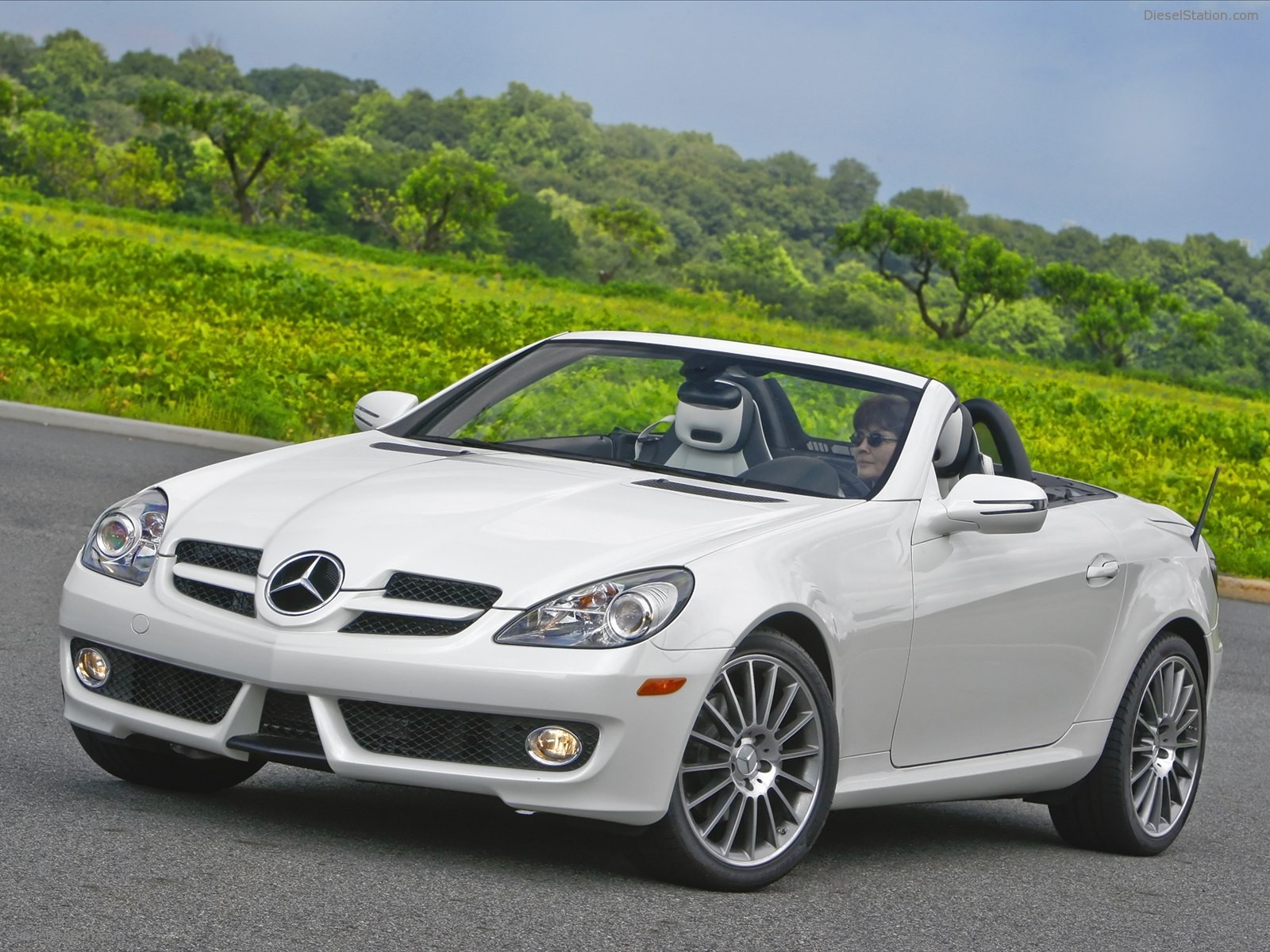 Mercedes Benz SLK300 Diamond White Edition 2010 Mercedes Benz SLK300 Diamond White Edition 2010
