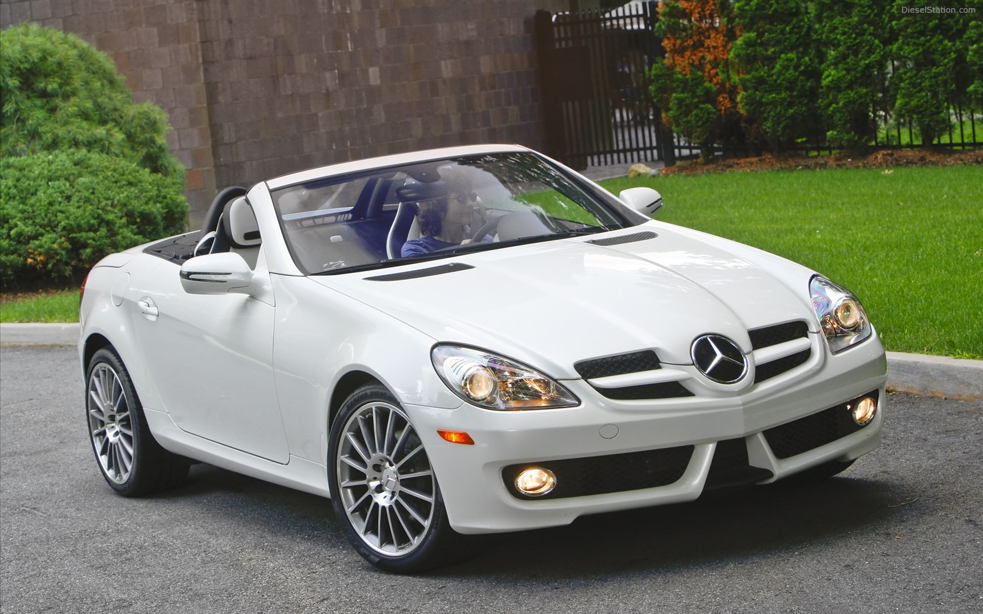 Mercedes Benz SLK300 Diamond White Edition 2010 Mercedes Benz SLK300 Diamond White Edition 2010