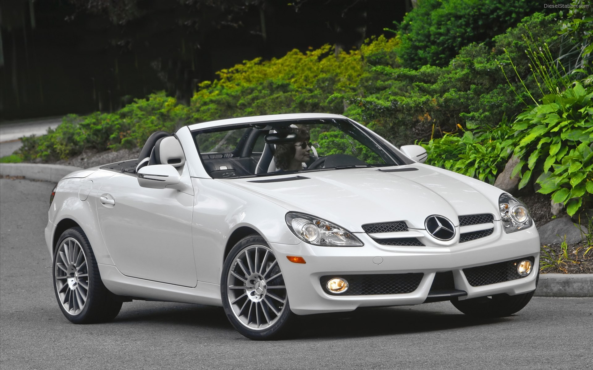 Mercedes Benz SLK300 Diamond White Edition 2010 Mercedes Benz SLK300 Diamond White Edition 2010
