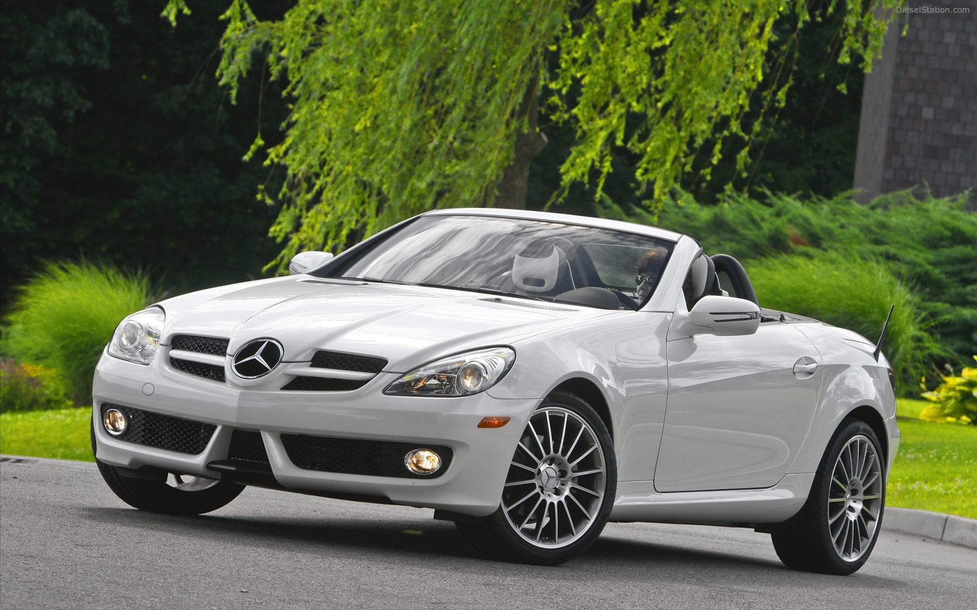 Mercedes Benz SLK300 Diamond White Edition 2010 Mercedes Benz SLK300 Diamond White Edition 2010