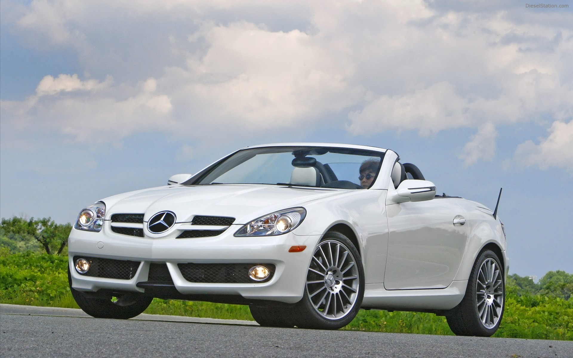 Mercedes Benz SLK300 Diamond White Edition 2010 Mercedes Benz SLK300 Diamond White Edition 2010
