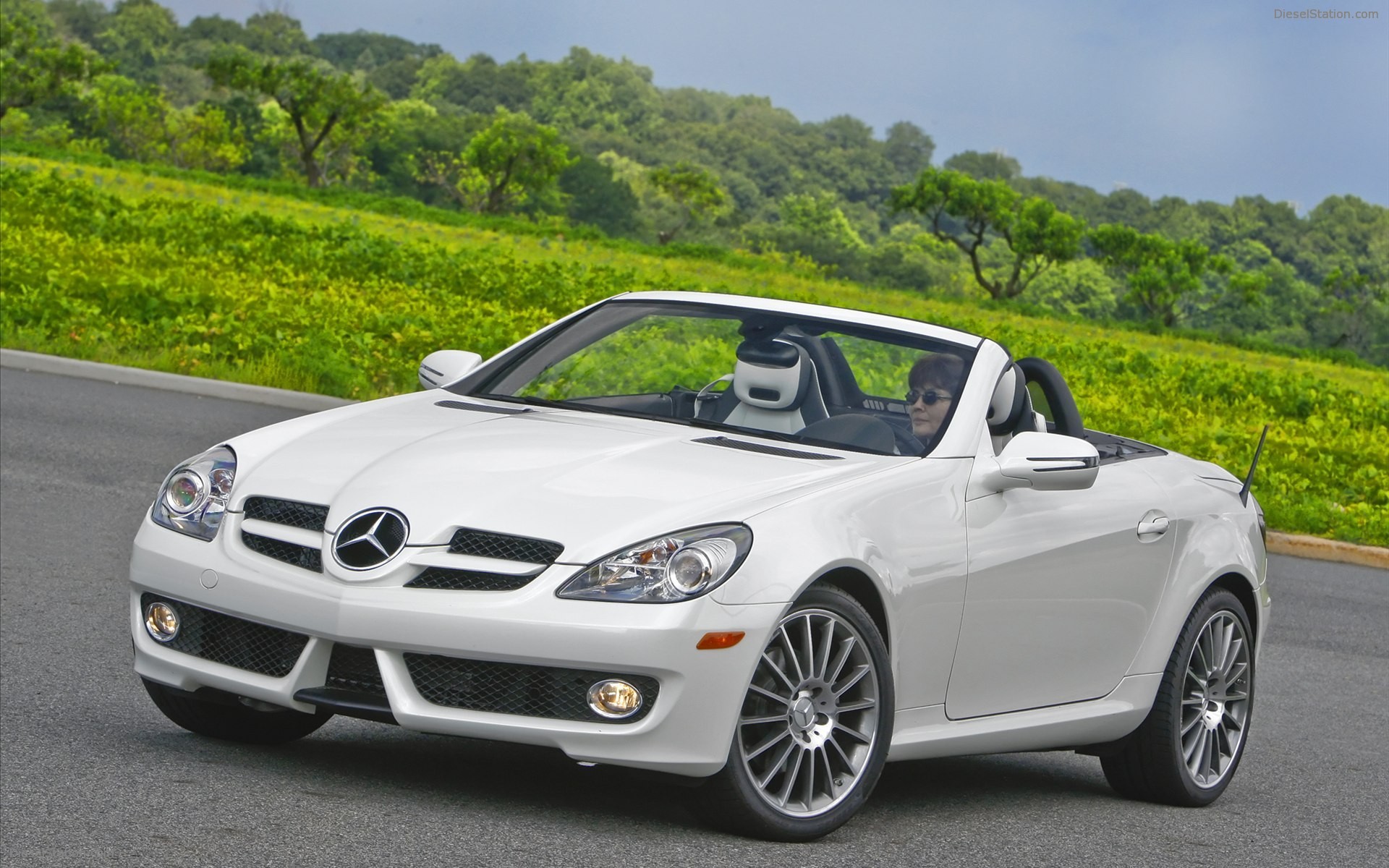 Mercedes Benz SLK300 Diamond White Edition 2010 Mercedes Benz SLK300 Diamond White Edition 2010