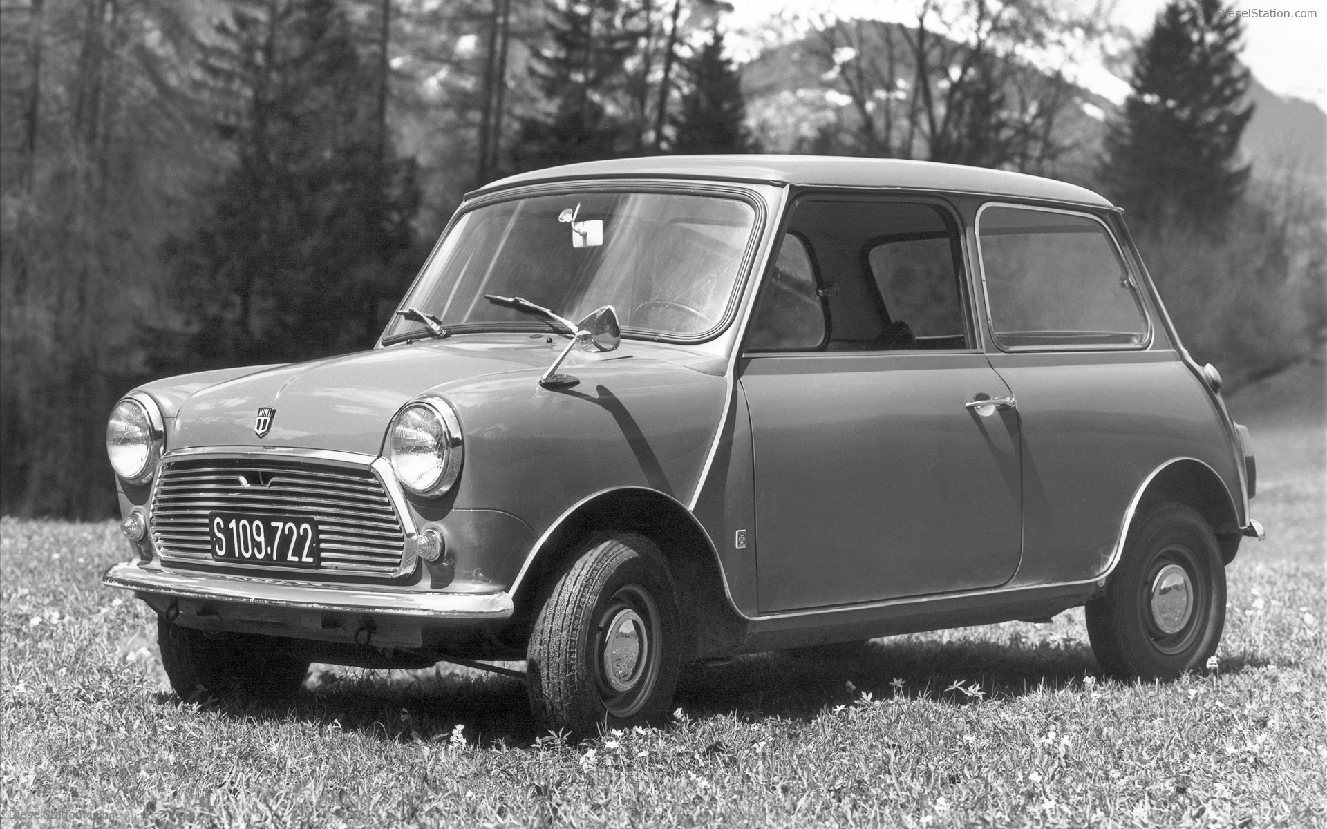 Fifty Years Of MINI