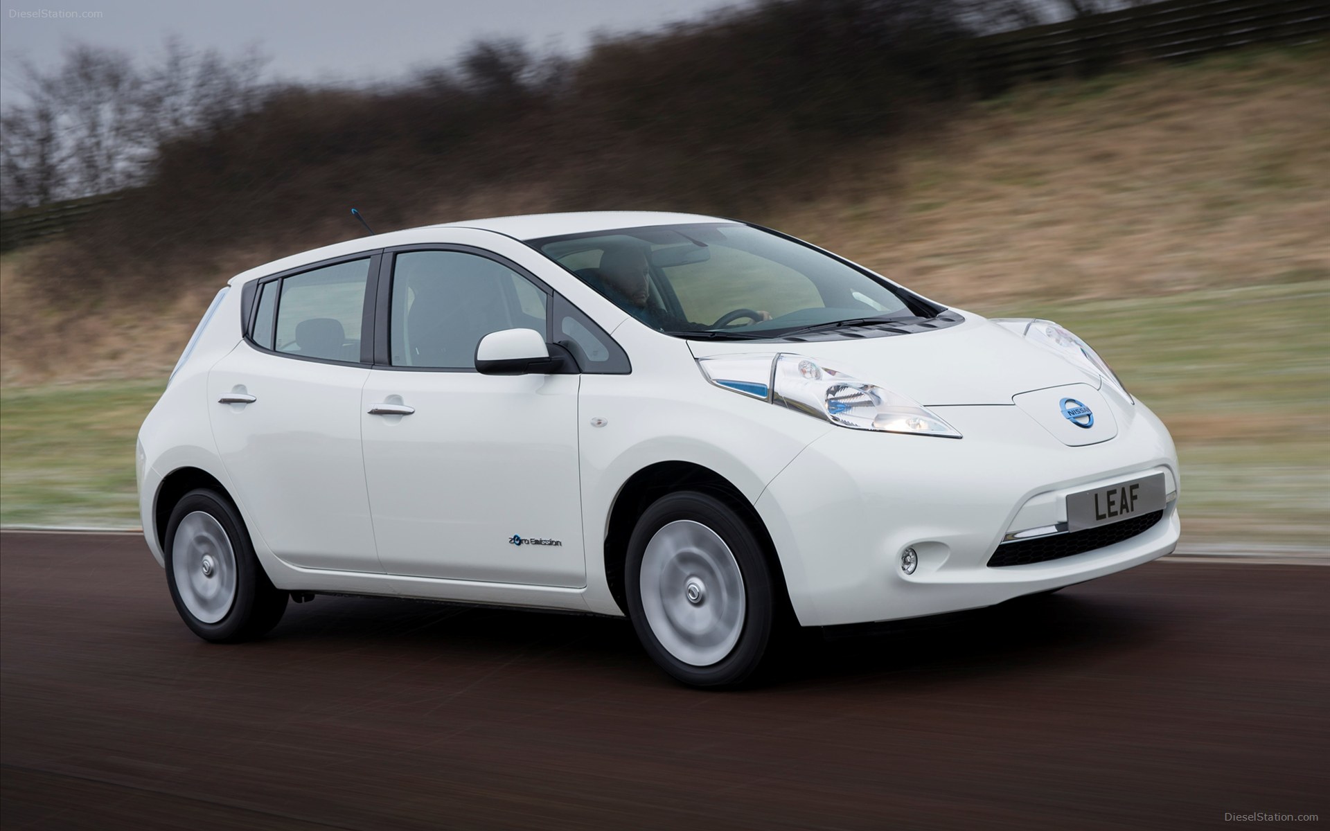 Nissan LEAF 2014