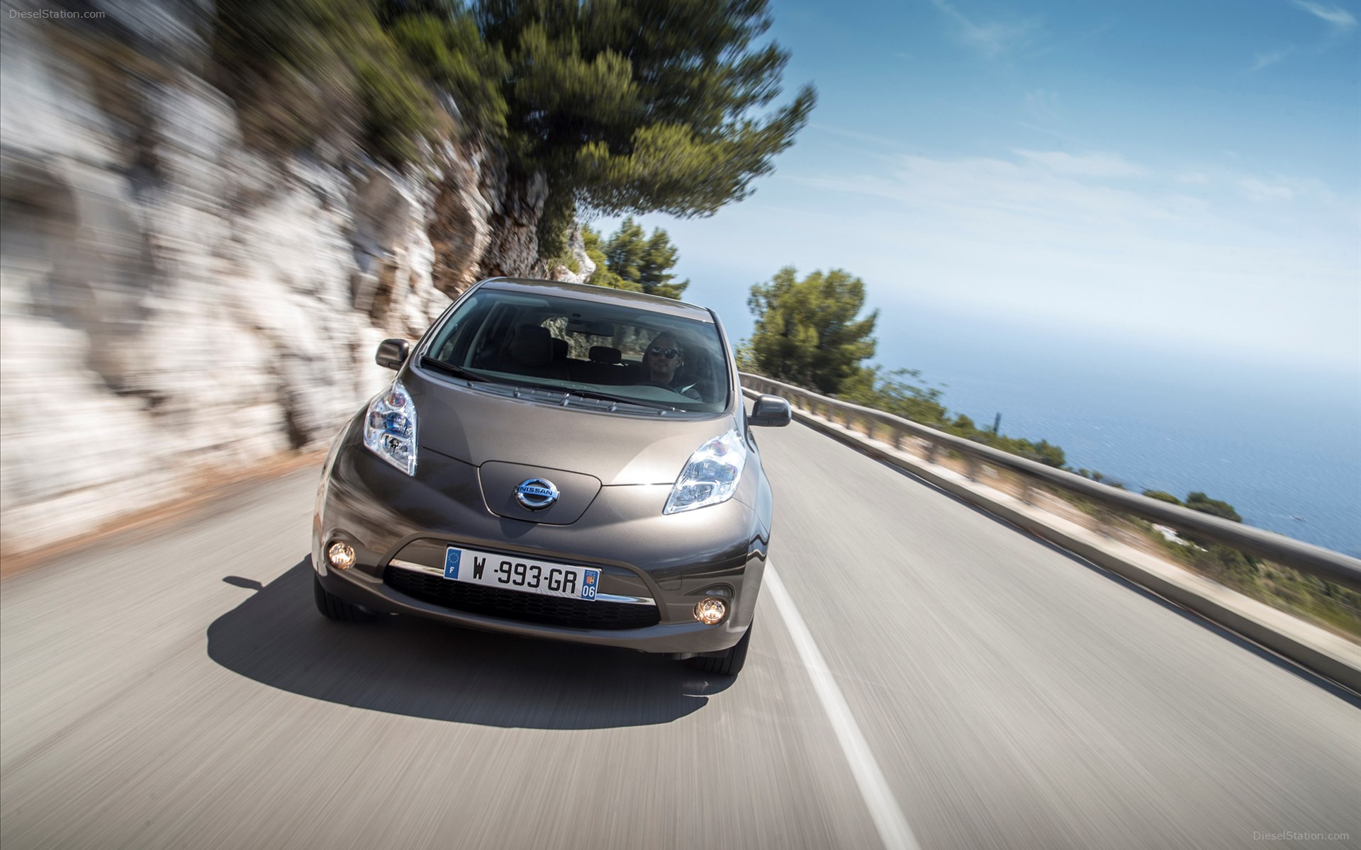 Nissan Leaf 30KWh 2016