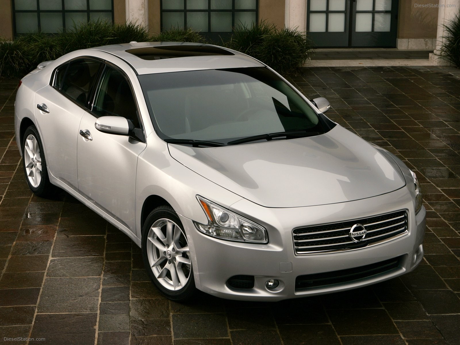 Nissan Maxima 2009