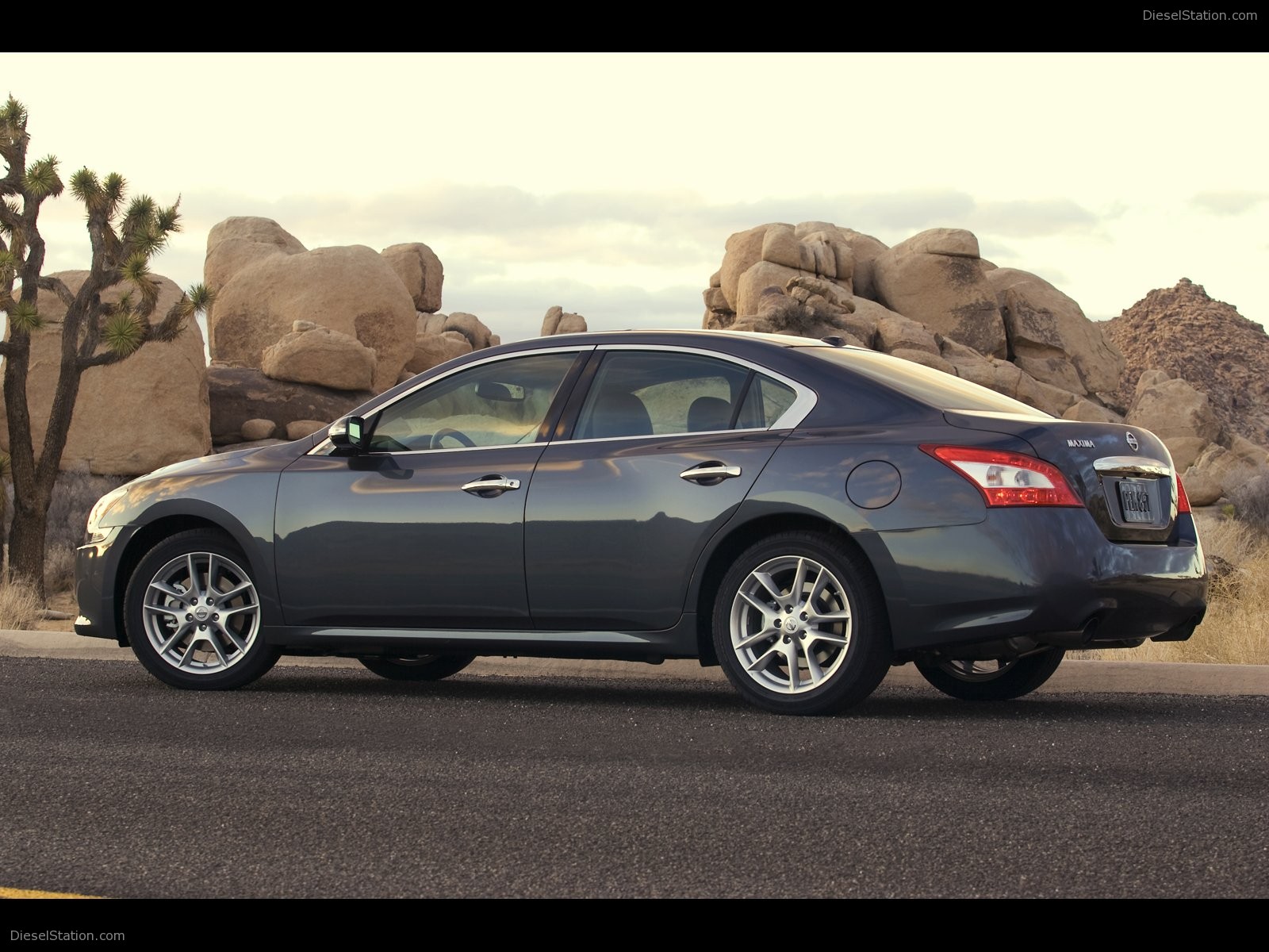 Nissan Maxima 2009