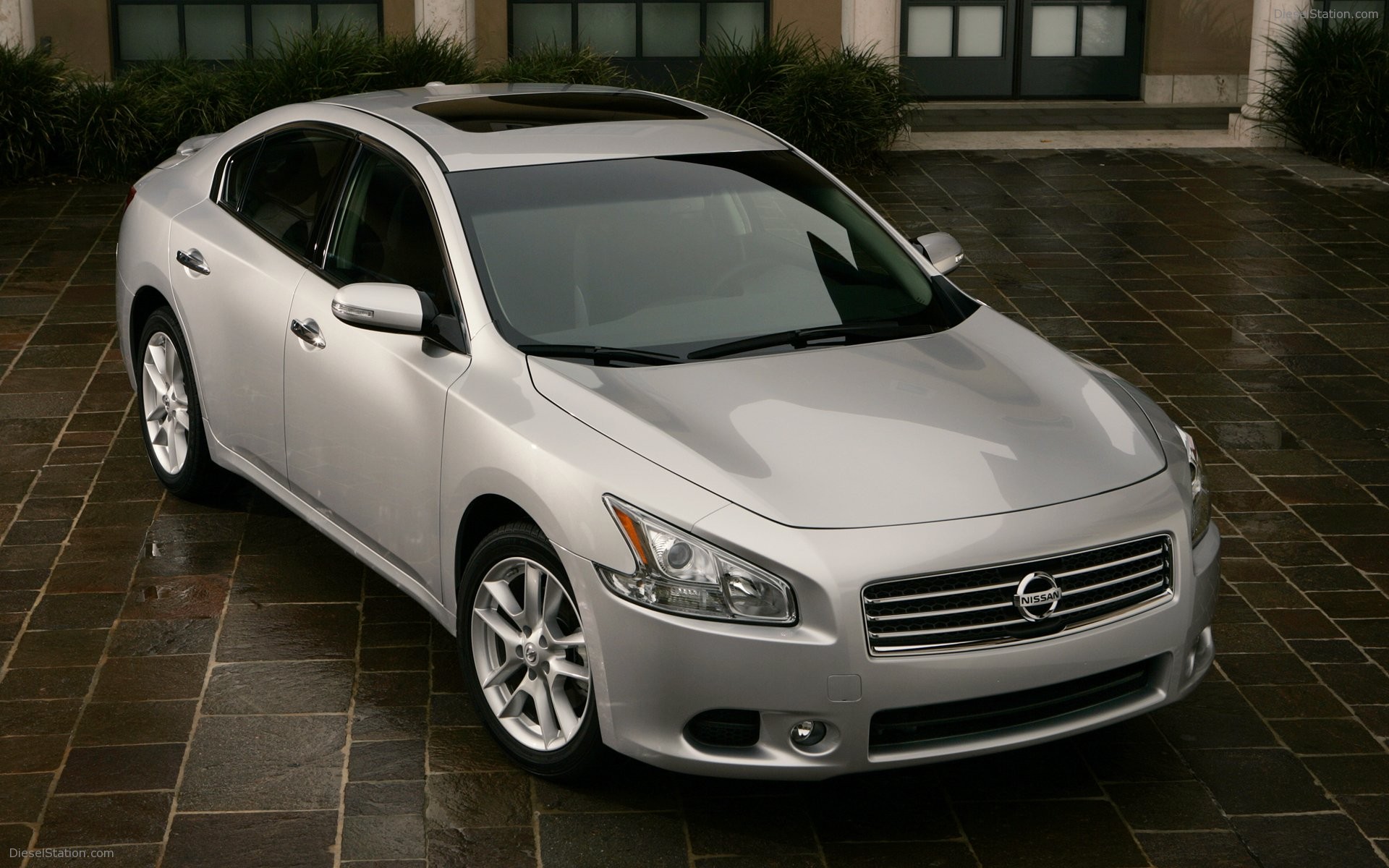 Nissan Maxima 2009