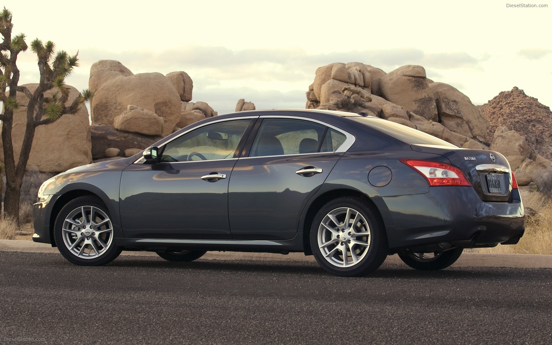 Nissan Maxima 2009