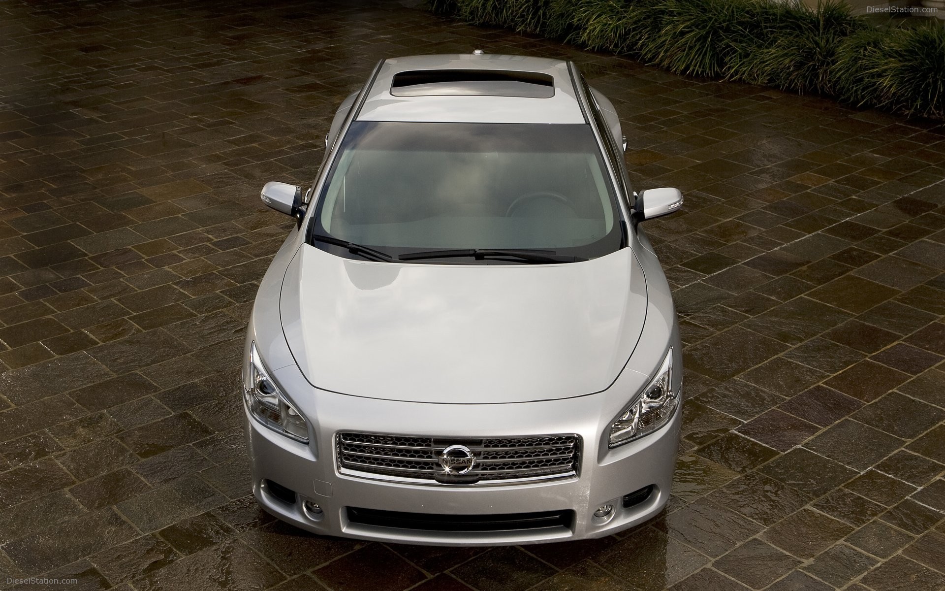 Nissan Maxima 2009