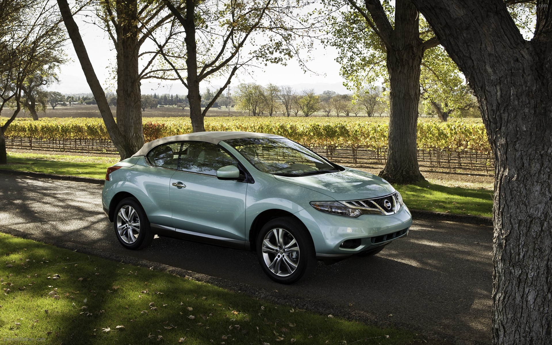 Nissan Murano CrossCabriolet 2011