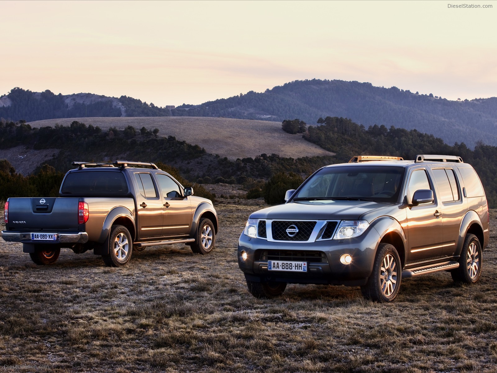 Nissan Pathfinder and Navara 2011