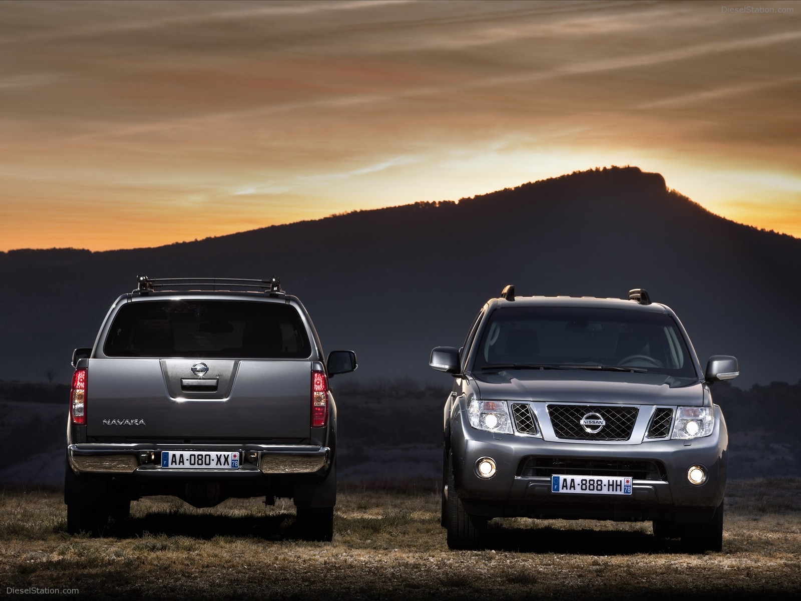 Nissan Pathfinder and Navara 2011