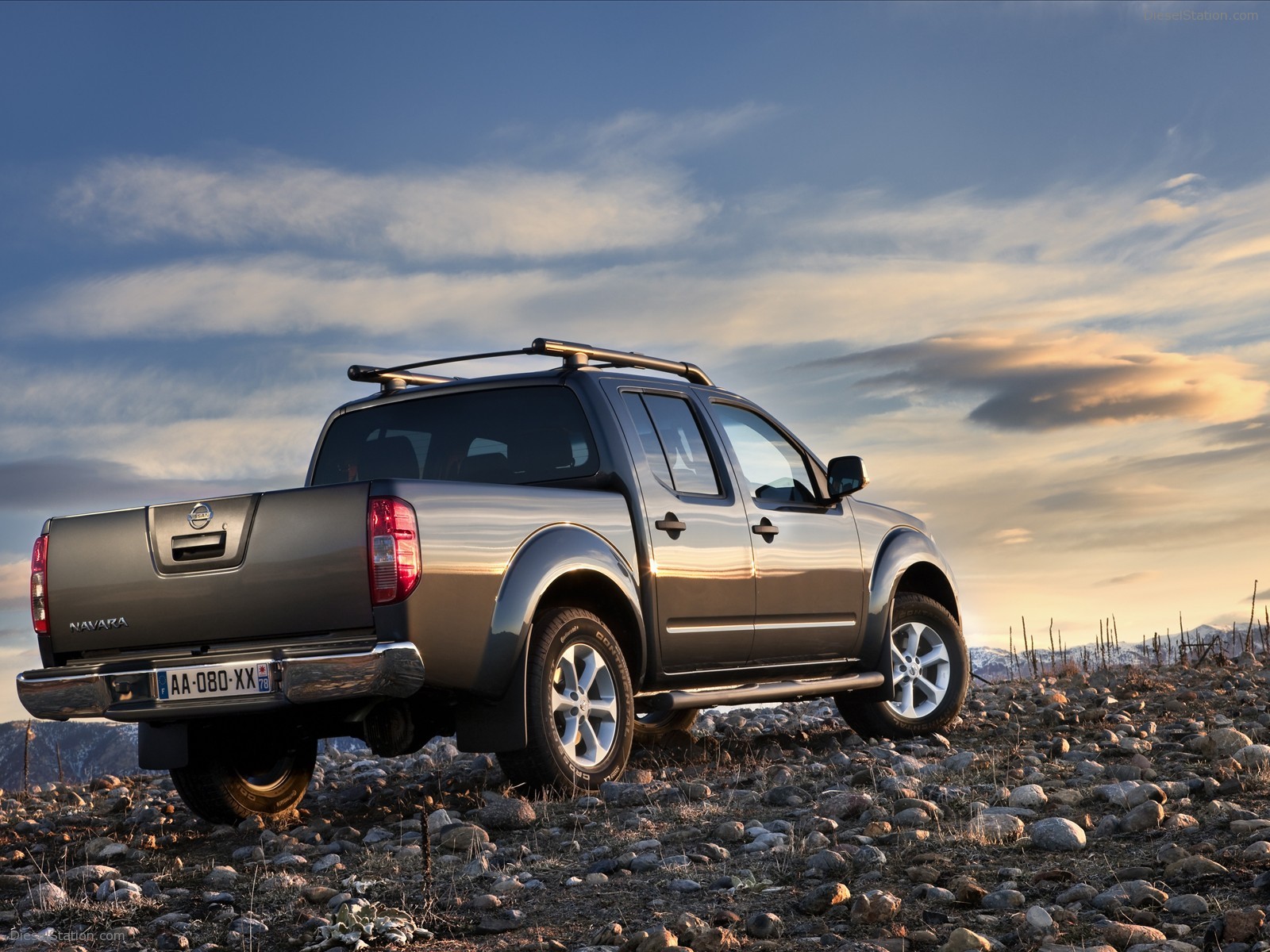Nissan Pathfinder and Navara 2011