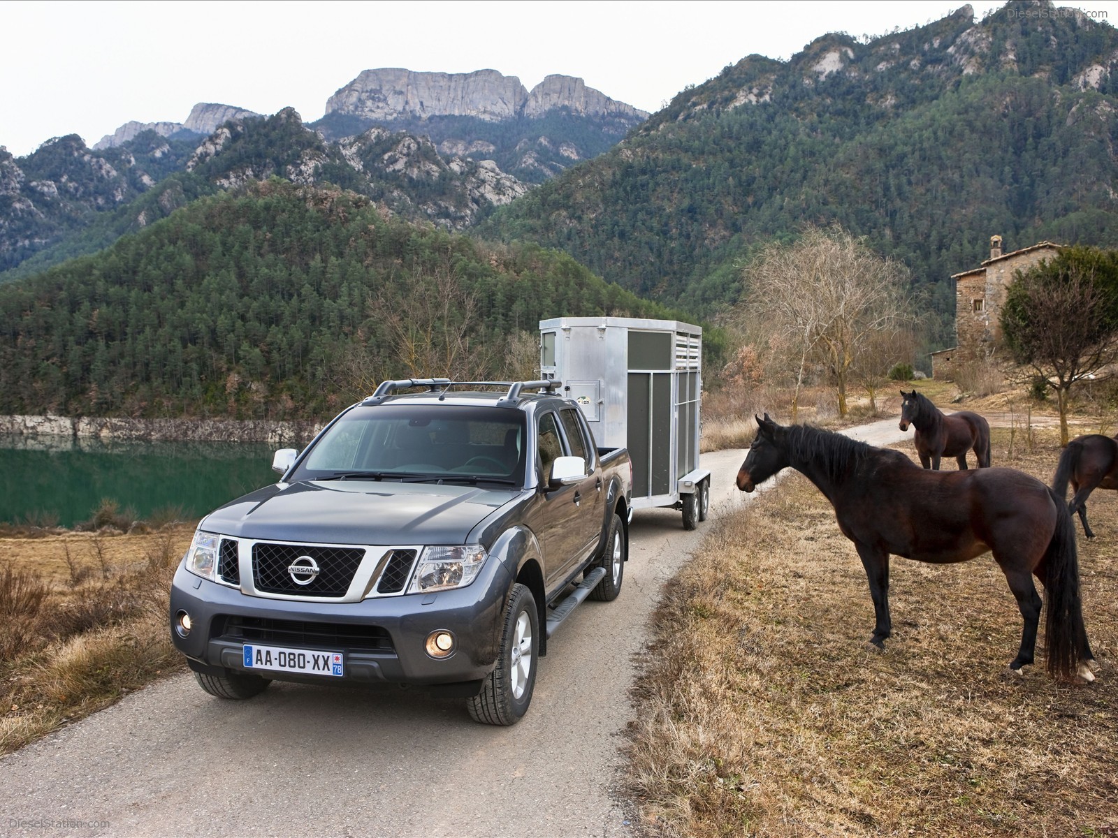 Nissan Pathfinder and Navara 2011