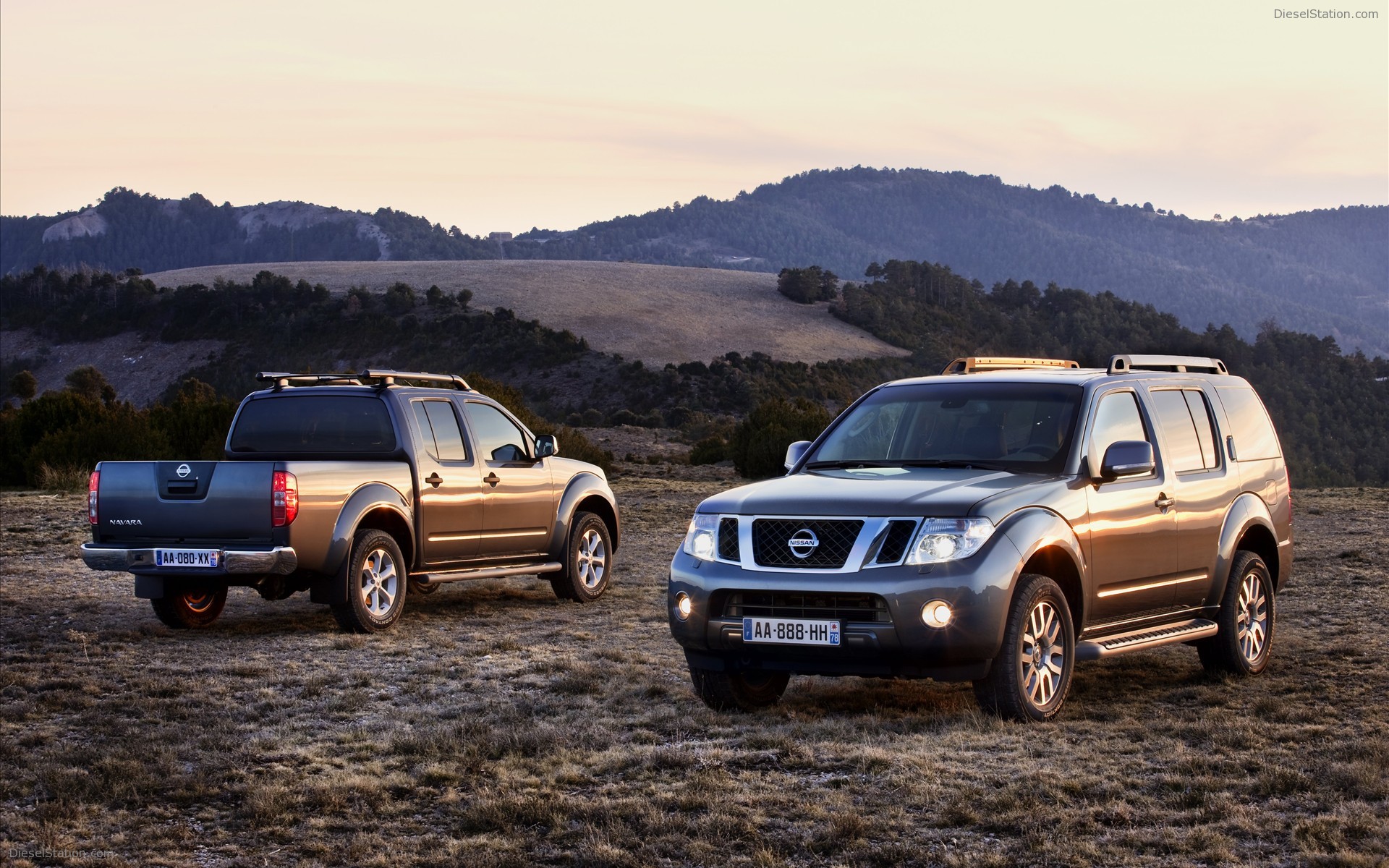 Nissan Pathfinder and Navara 2011