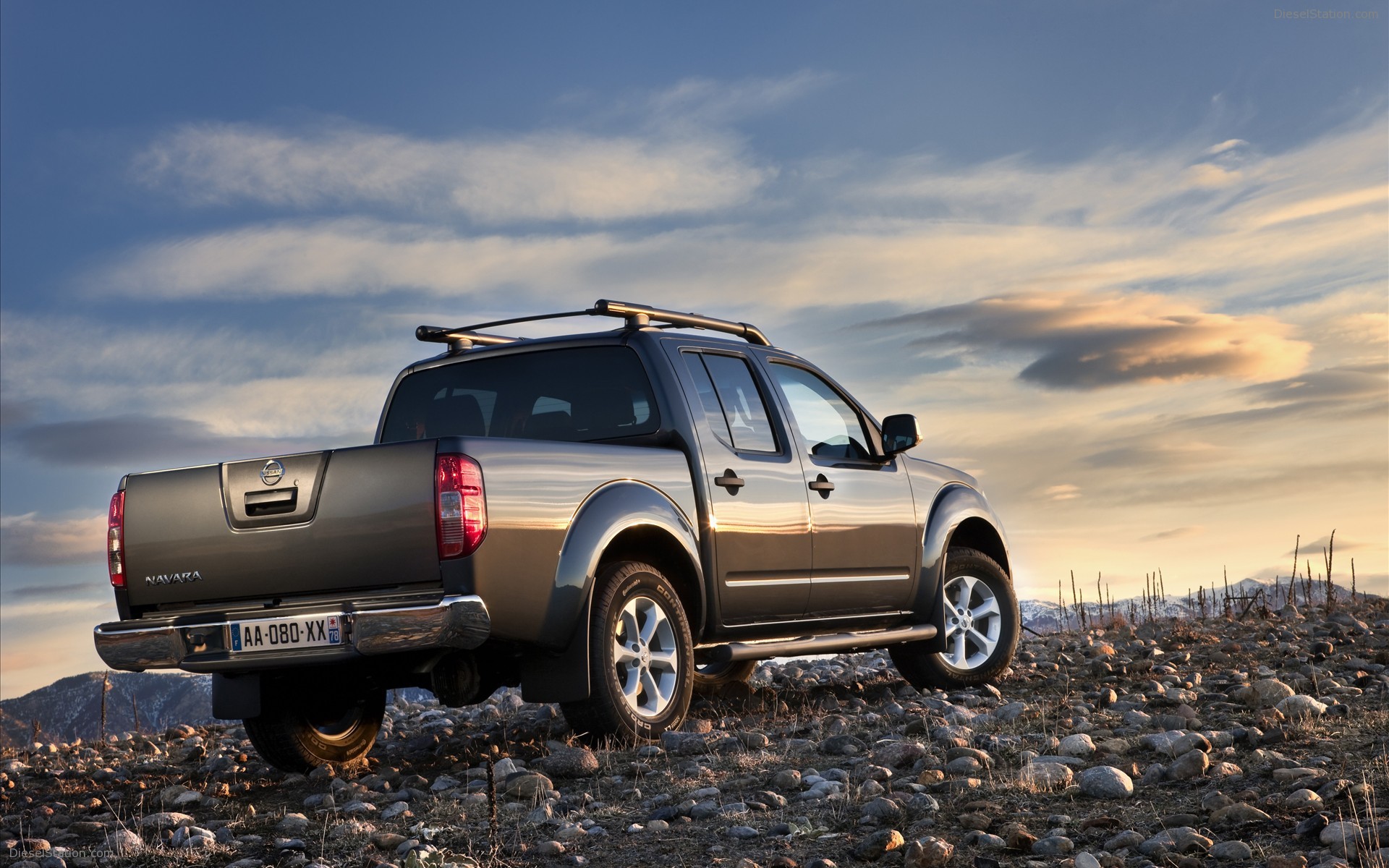 Nissan Pathfinder and Navara 2011