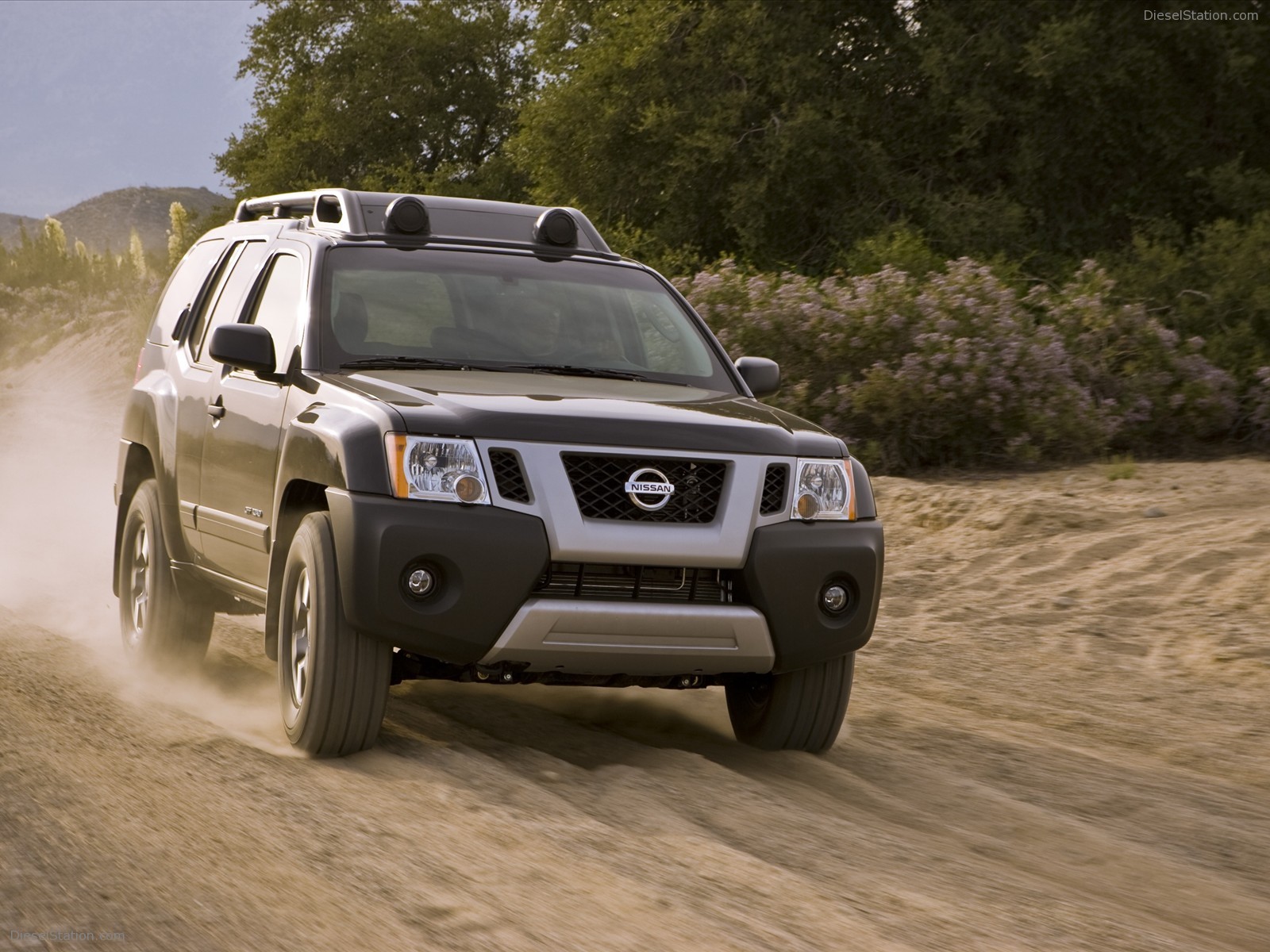 Nissan Xterra 2010
