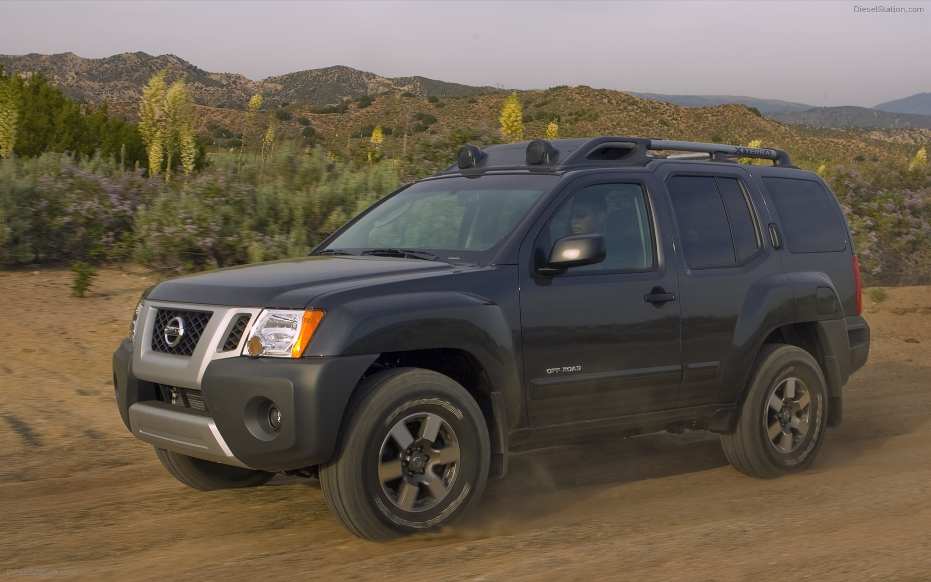 Nissan Xterra 2010