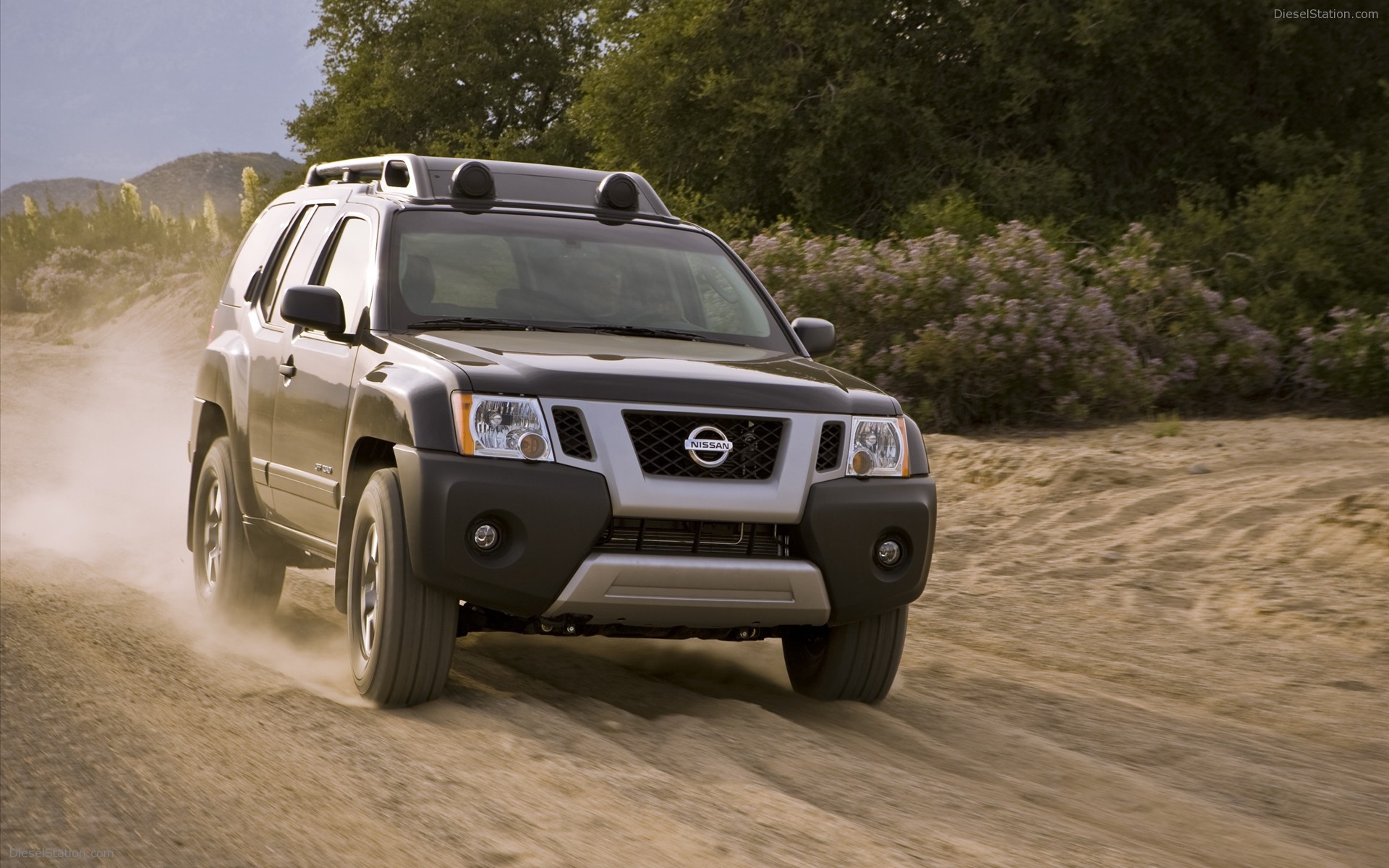 Nissan Xterra 2010
