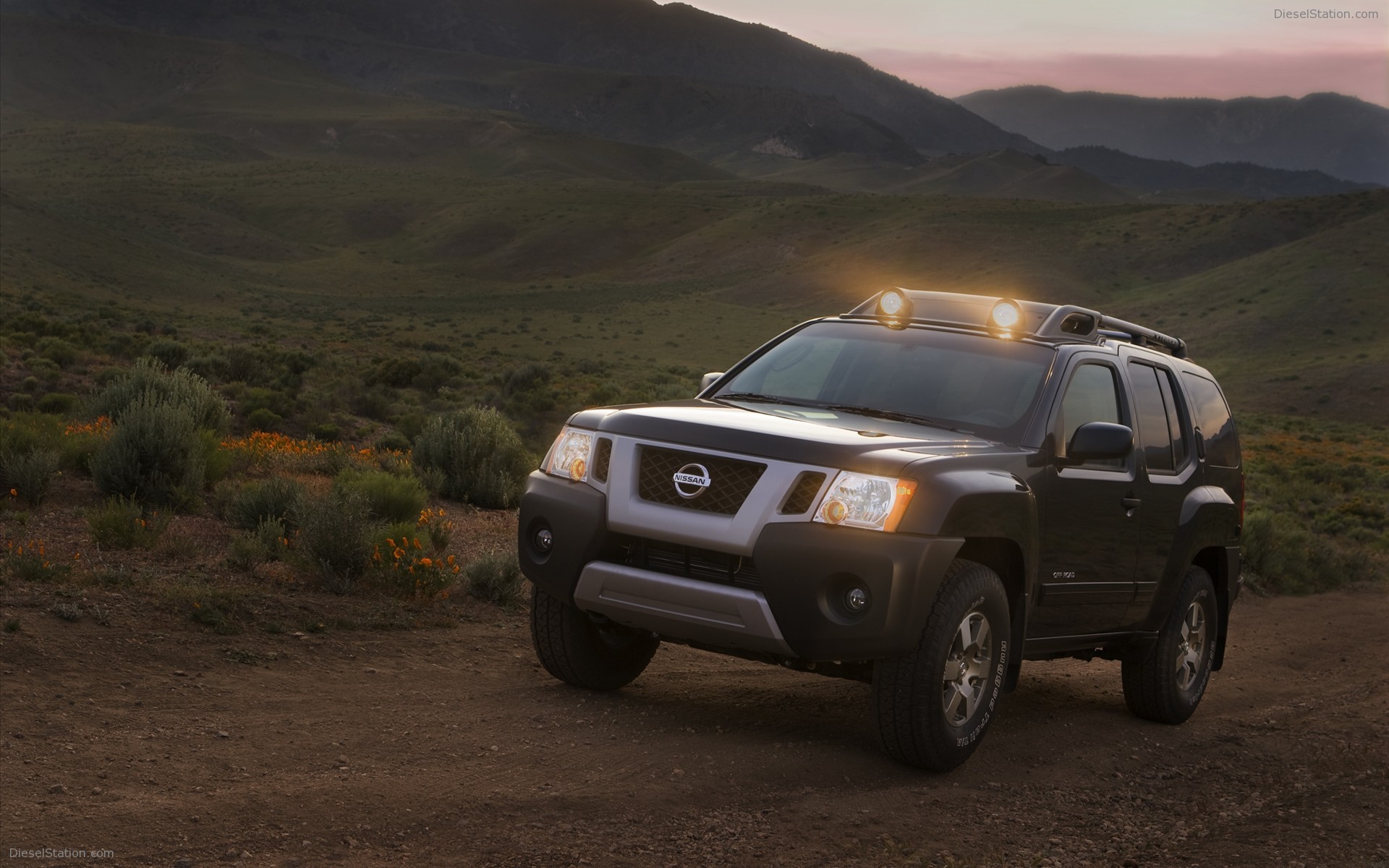 Nissan Xterra 2010