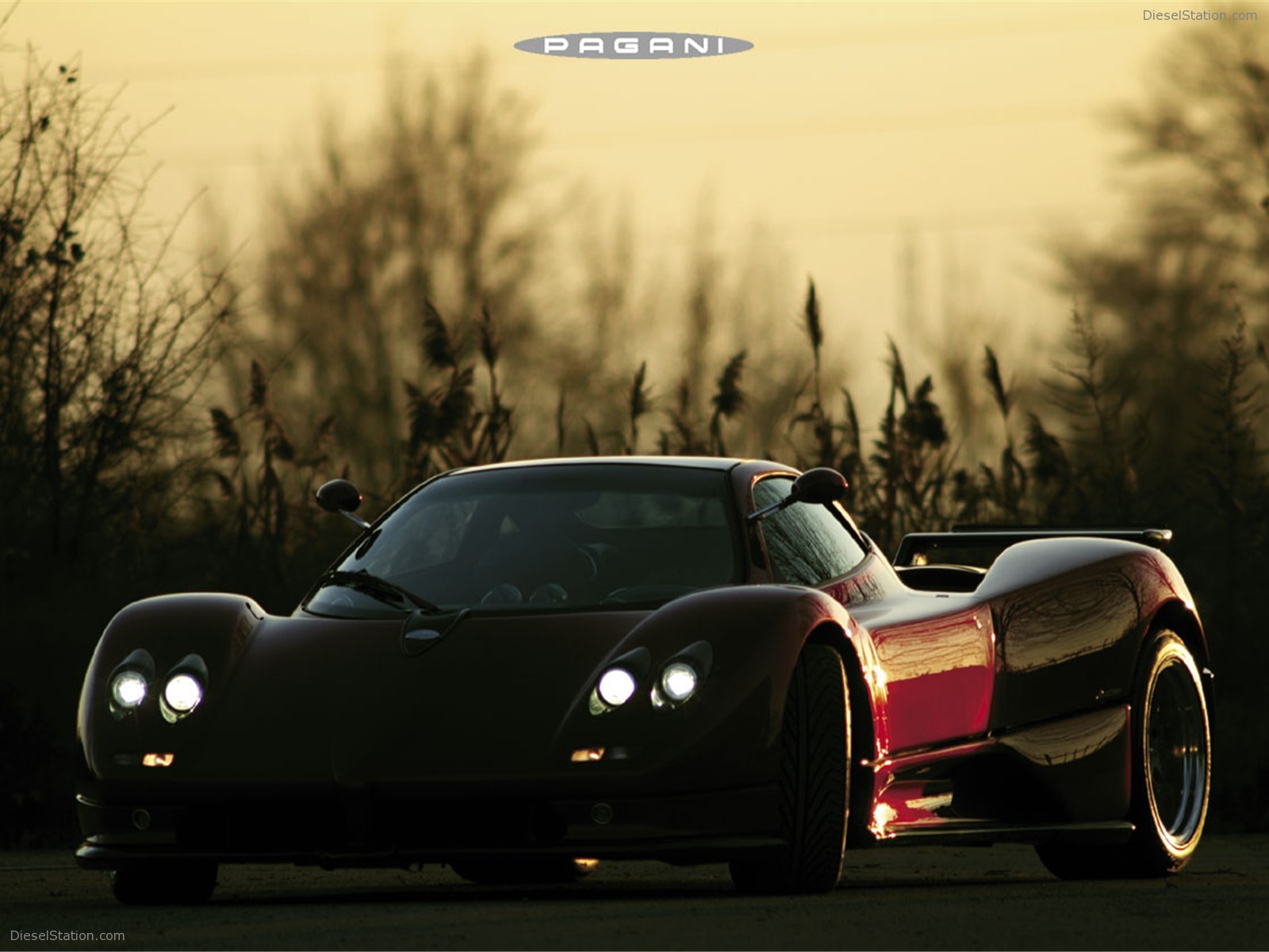 Pagani Zonda S